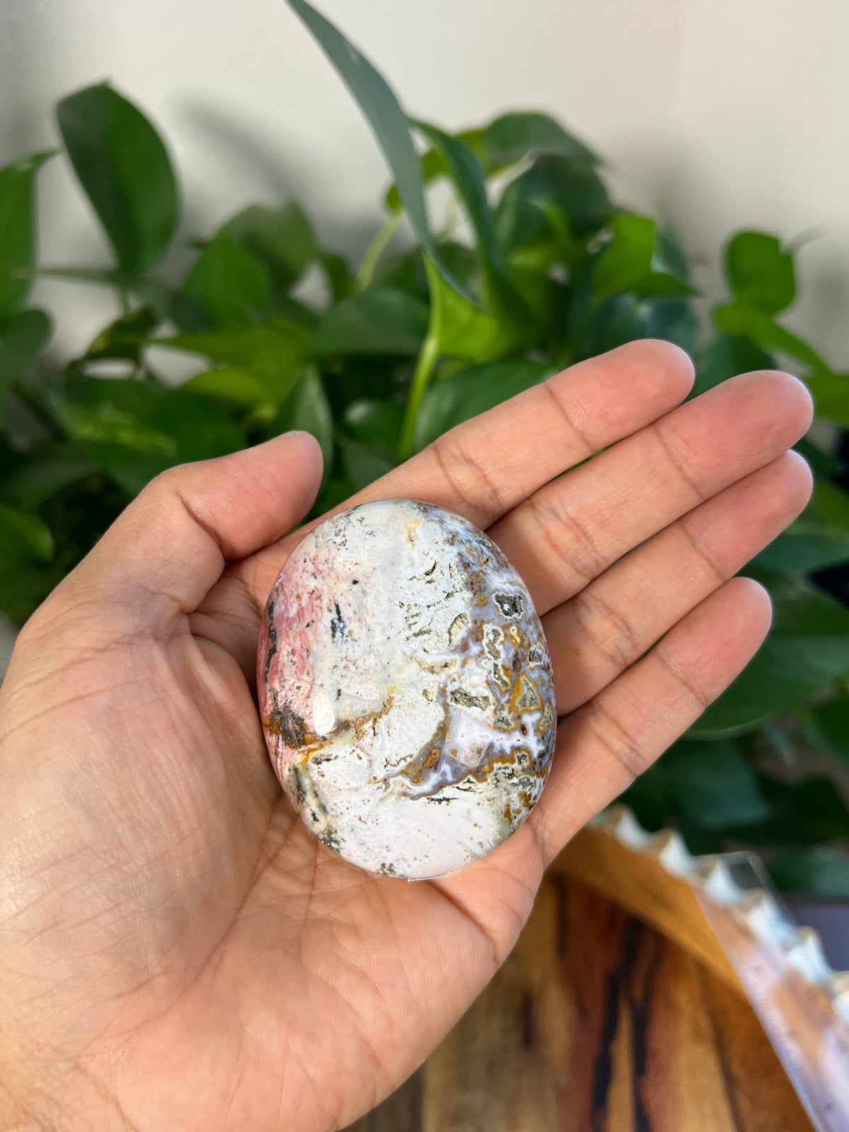 Sea Jasper Palmstone: AF