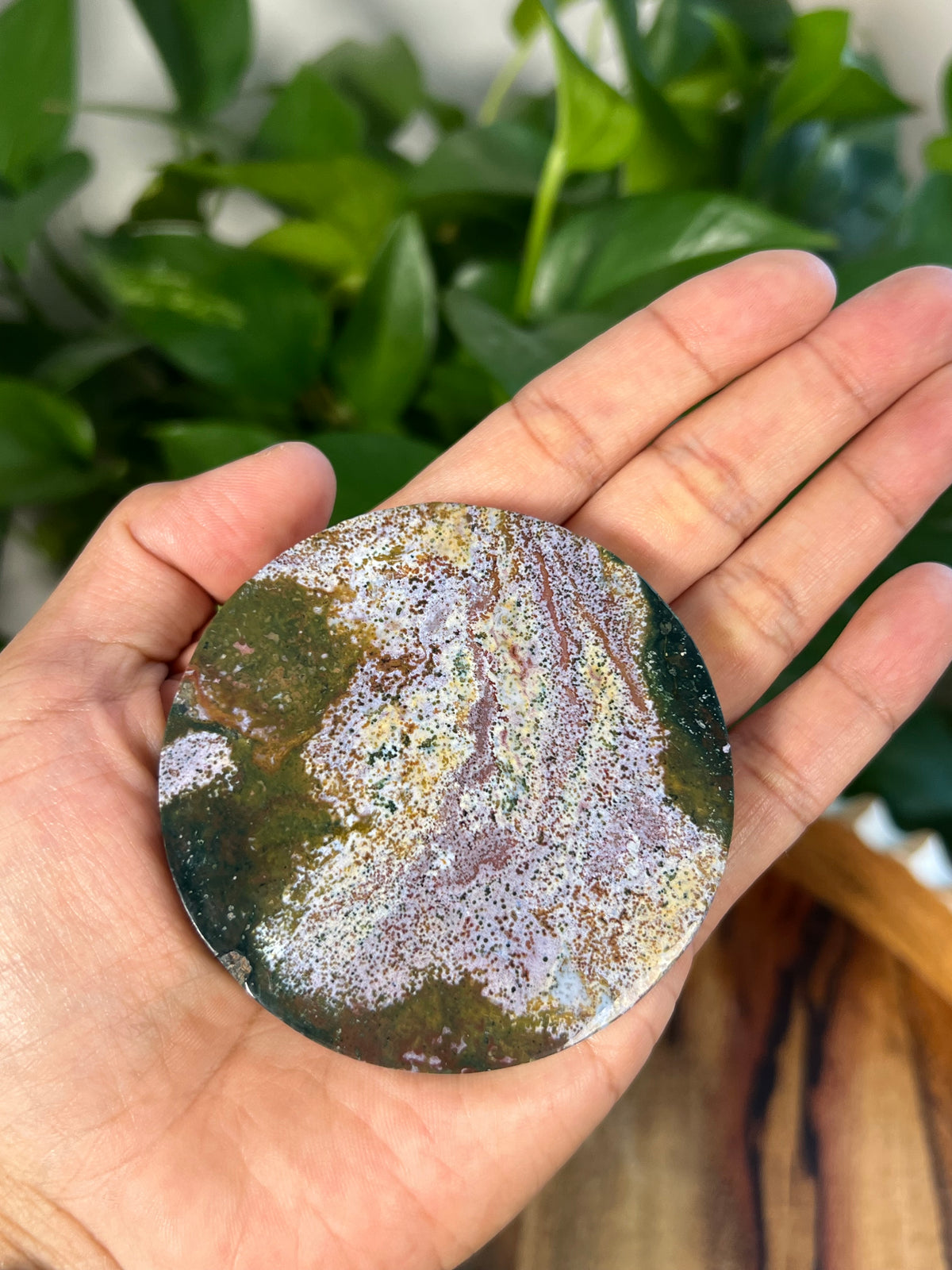 Sea Jasper Coasters