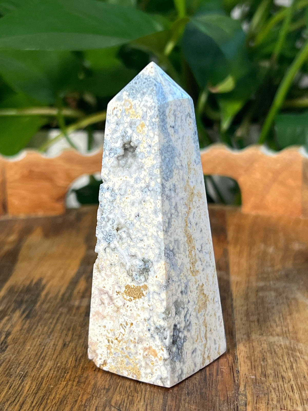 Sea Jasper Towers