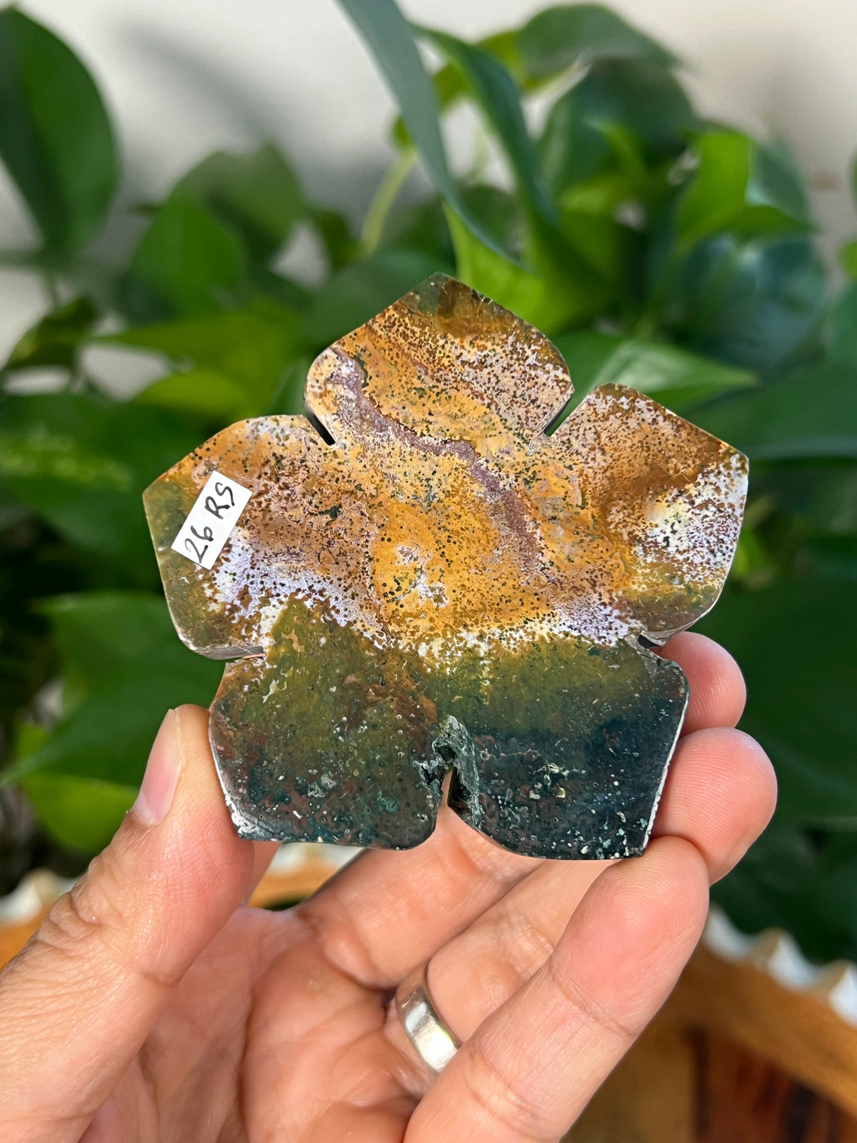 Sea Jasper Flower: RS