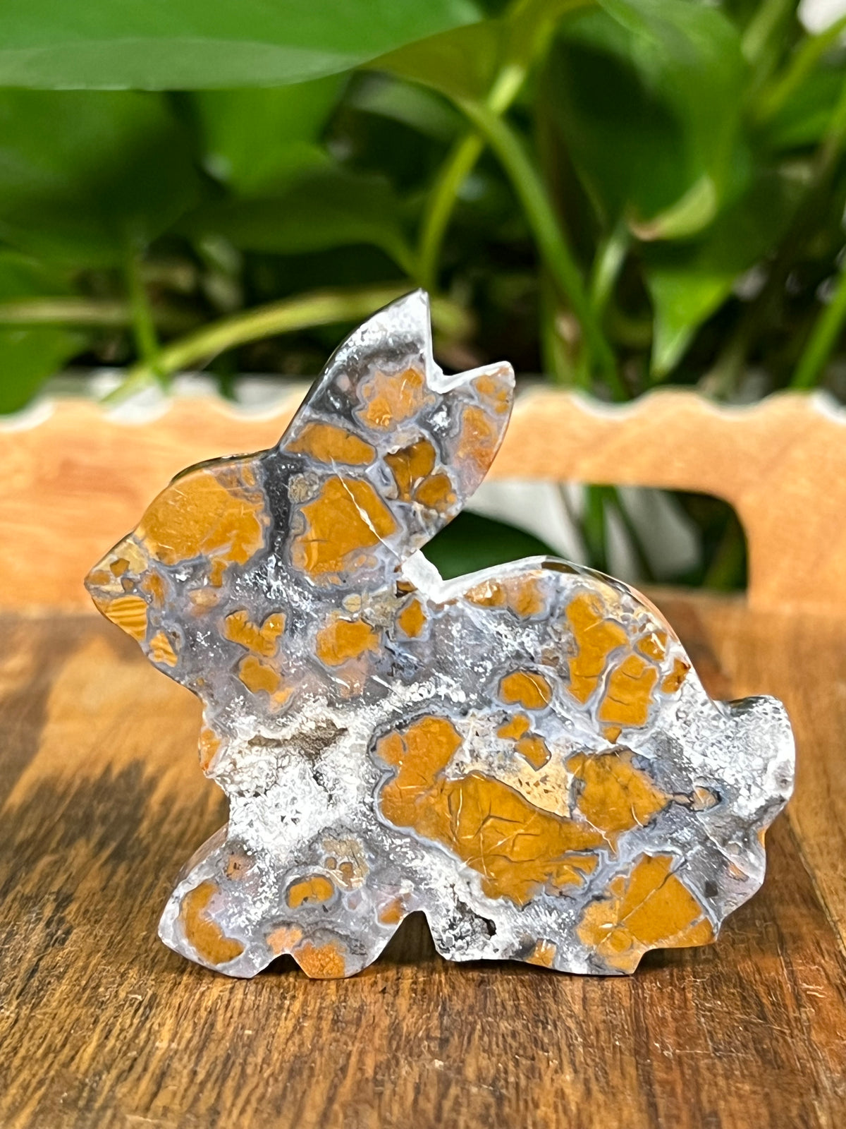 Brecciated Jasper Bunnies