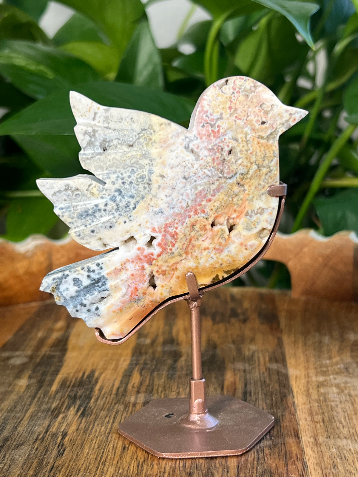 Sea Jasper Birds