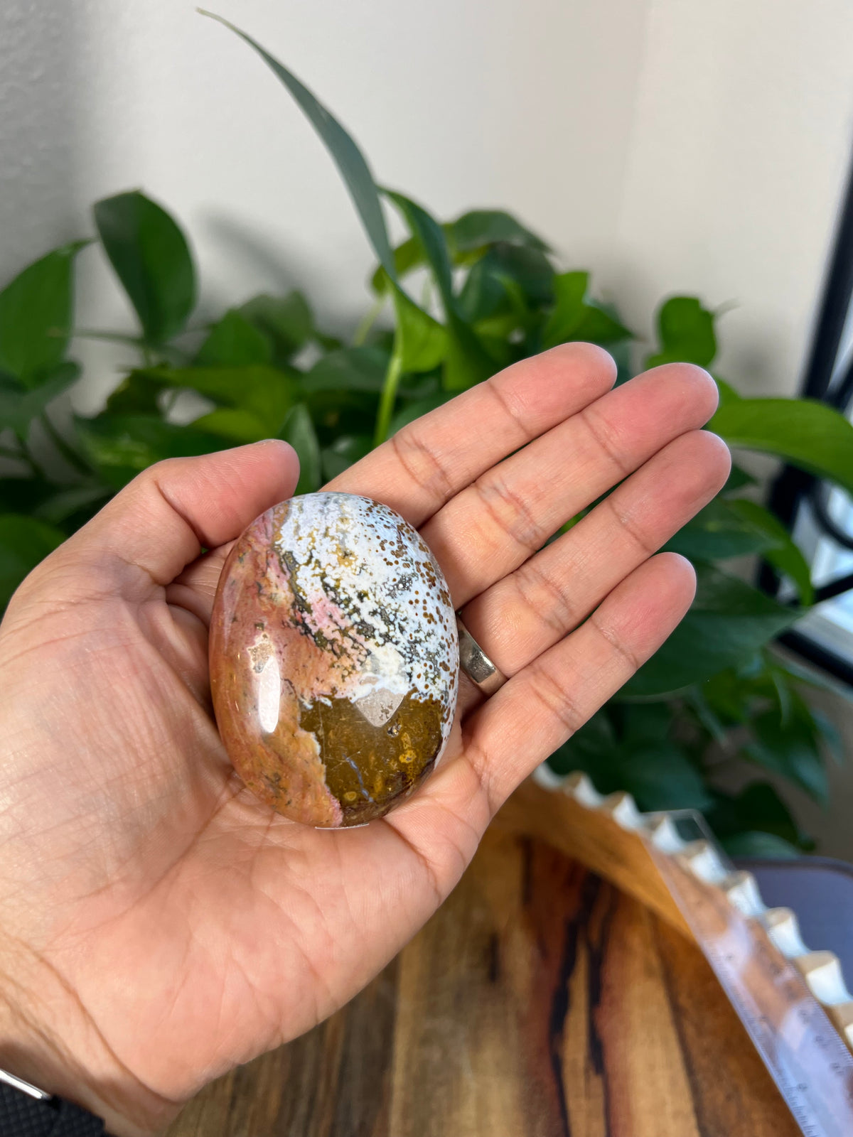 Sea Jasper Palmstone: AB