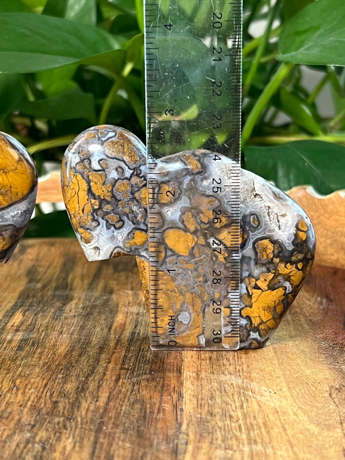 Brecciated Jasper Buffalos