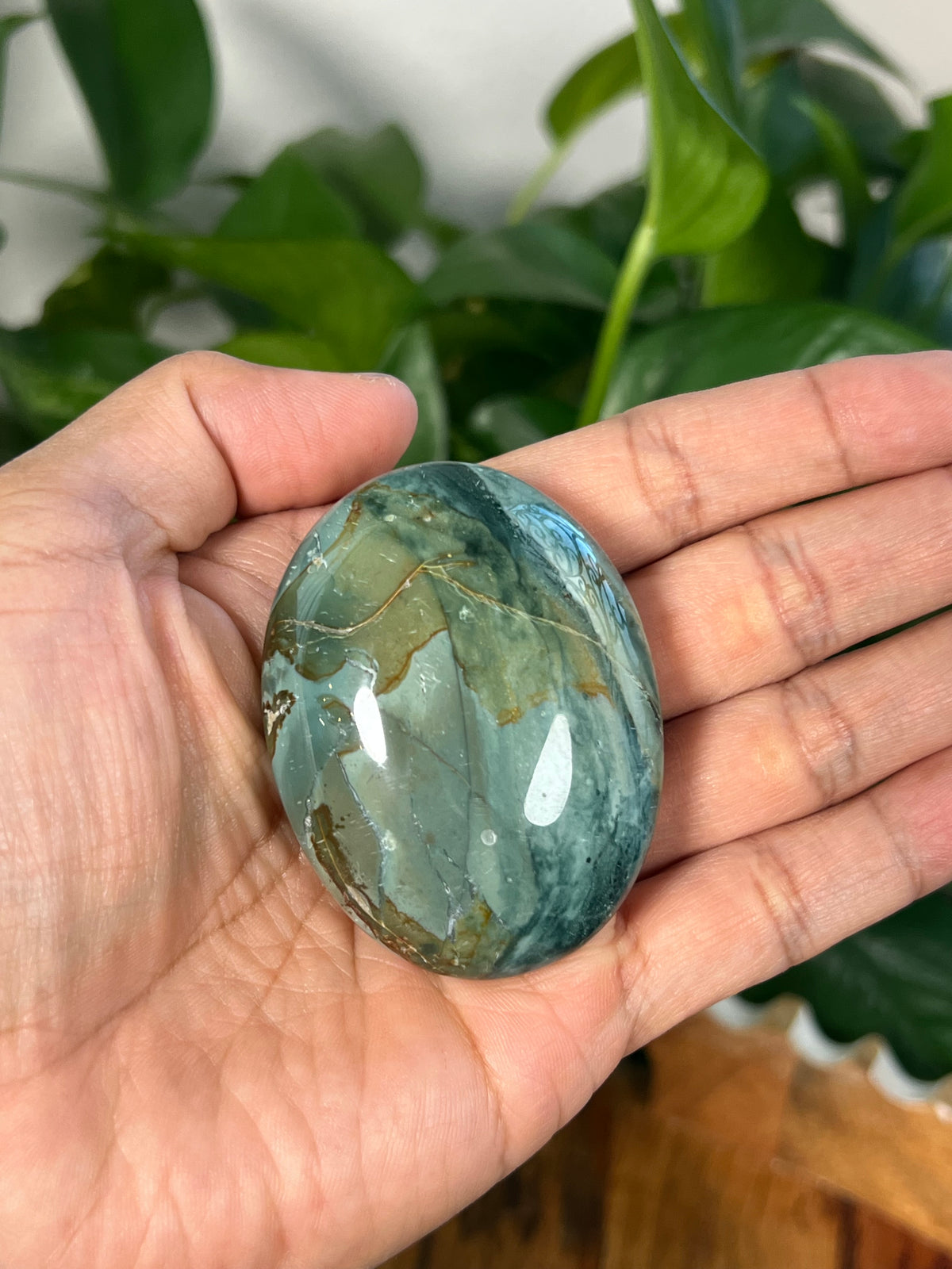 Blue Green Jasper Palmstones