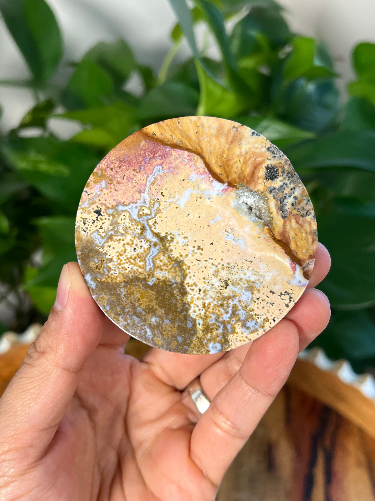 Sea Jasper Coasters