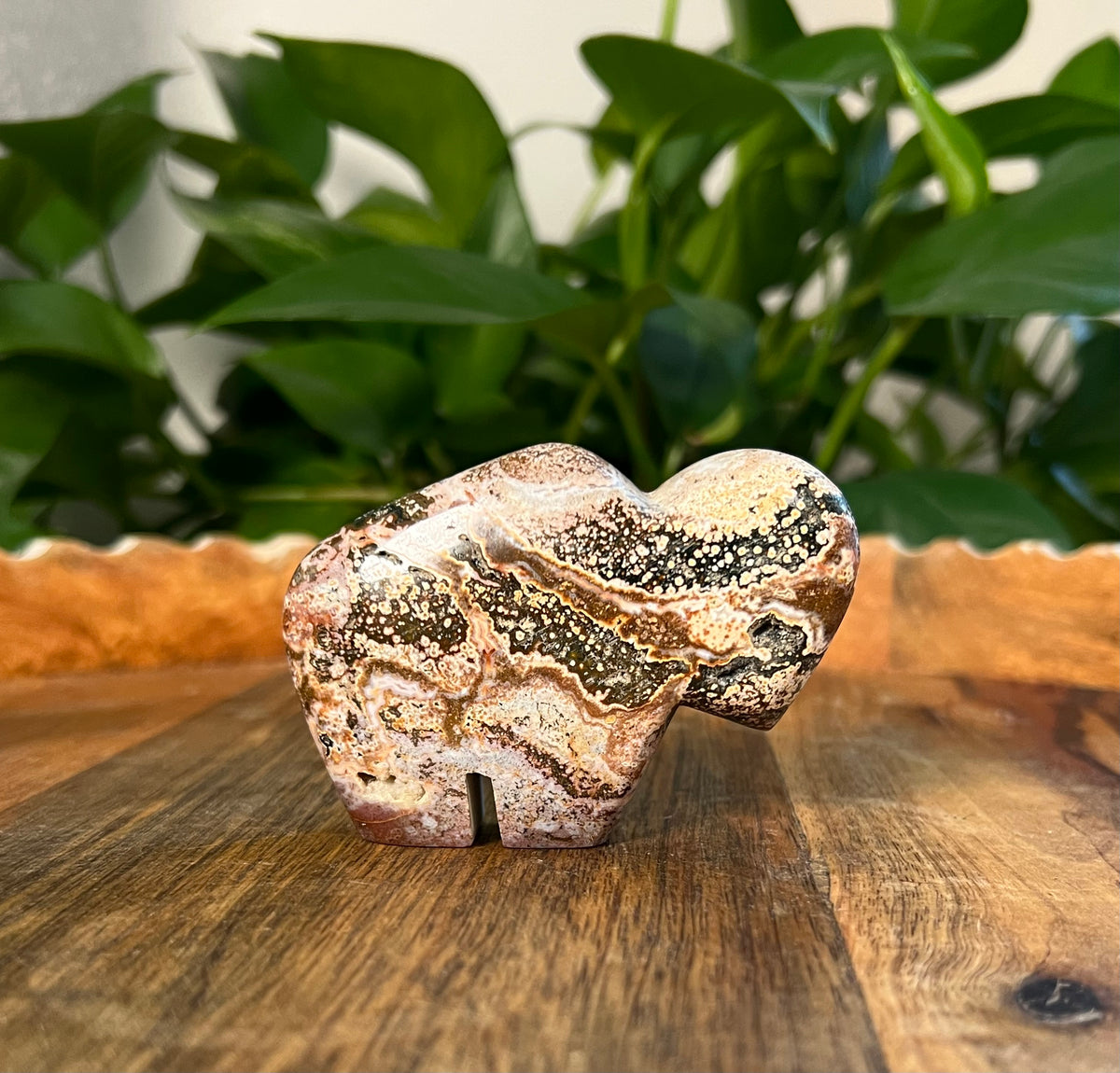 Sea Jasper Buffalo: KX