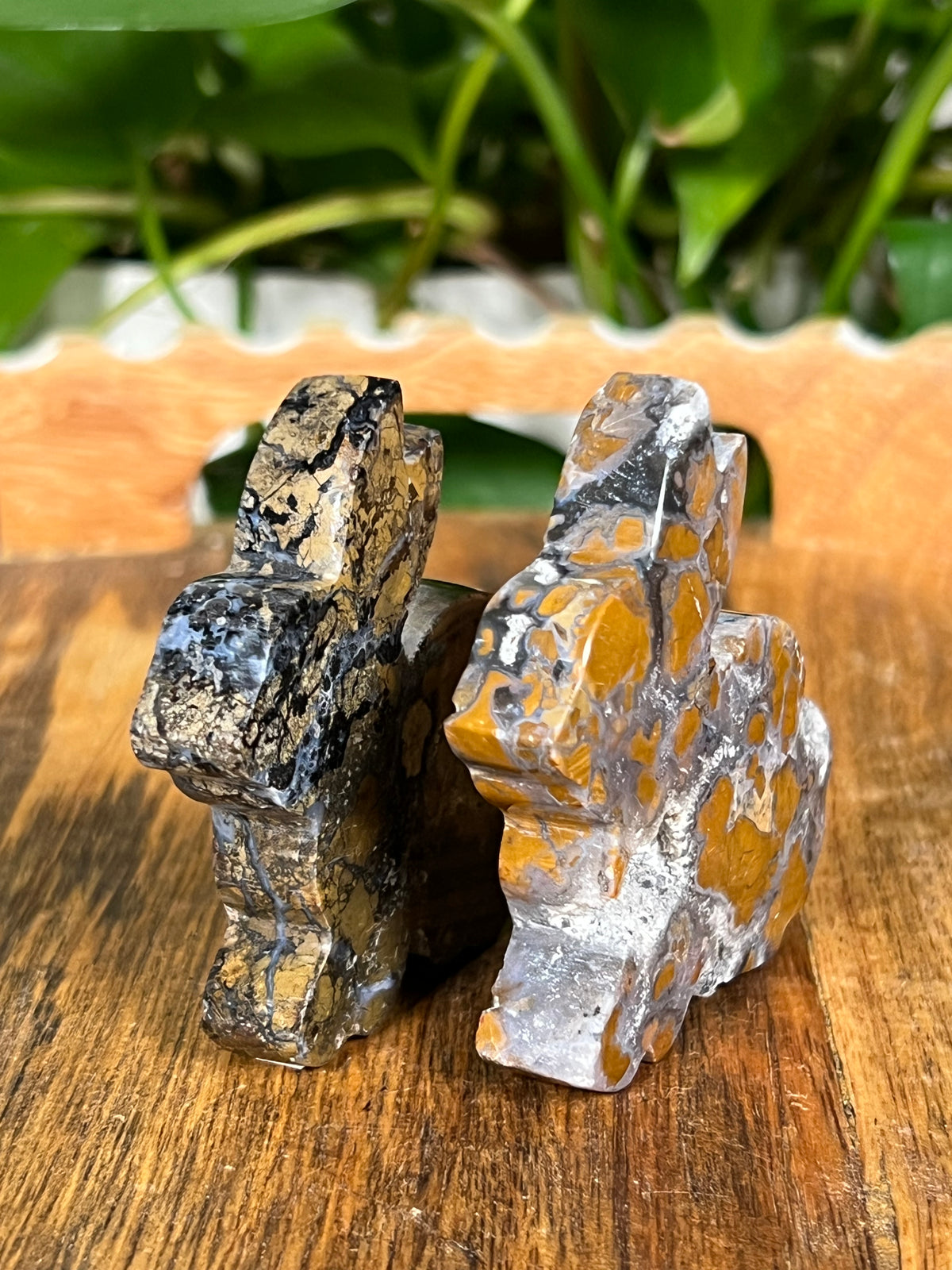 Brecciated Jasper Bunnies