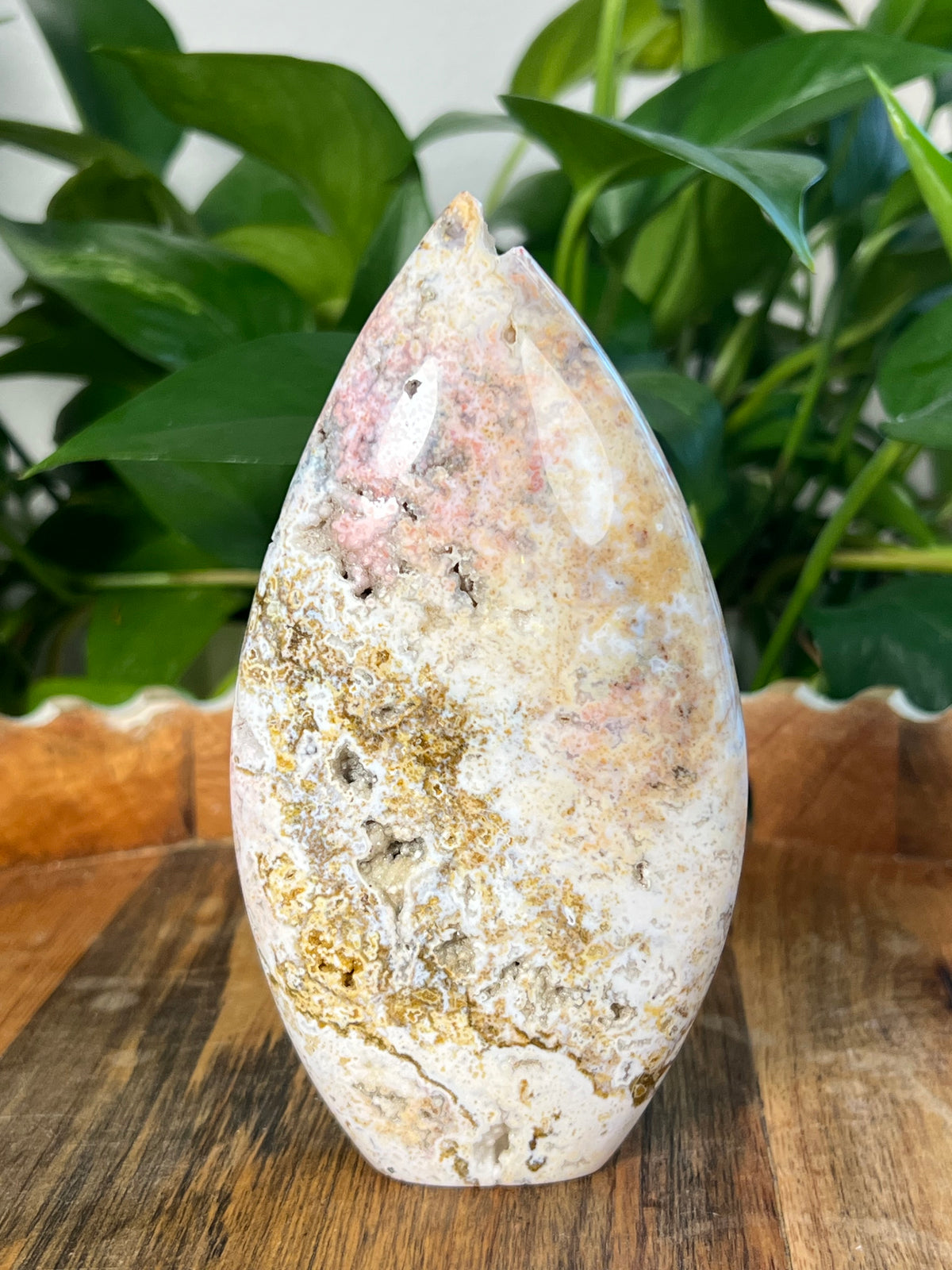 Sea Jasper Flame: SB