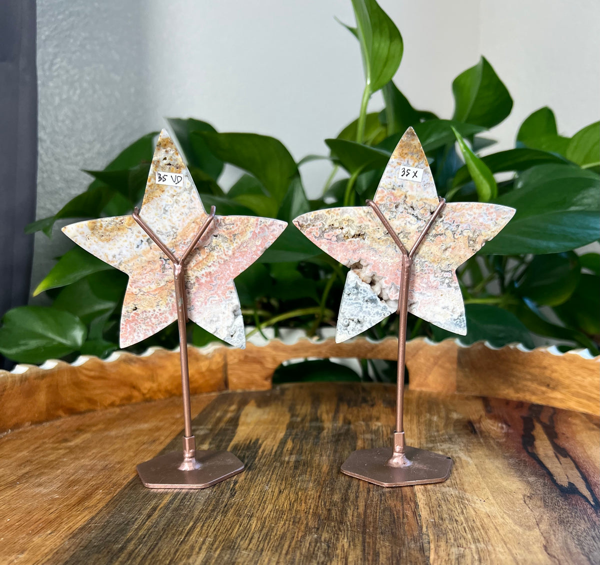 Sea Jasper Stars