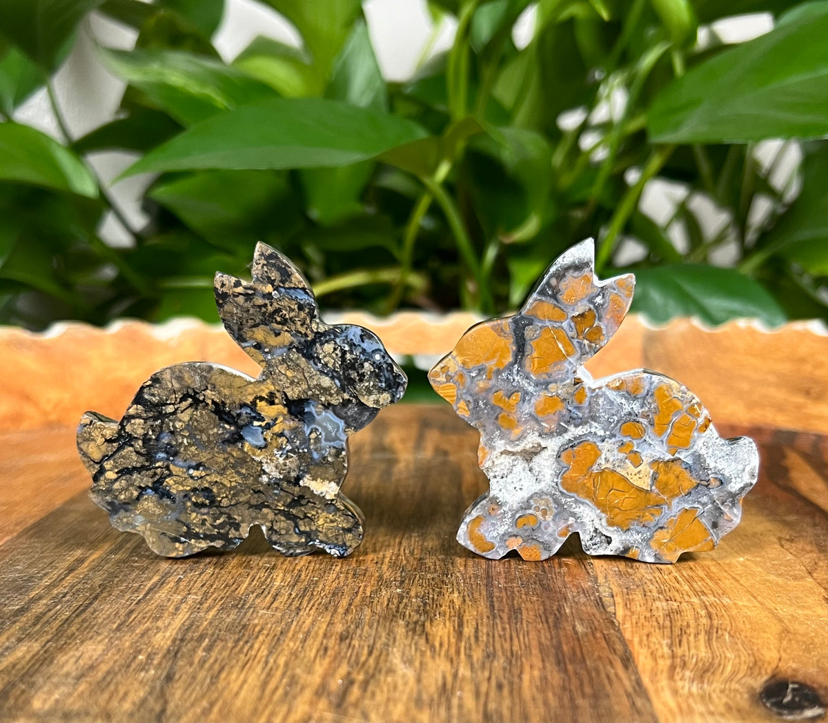Brecciated Jasper Bunnies