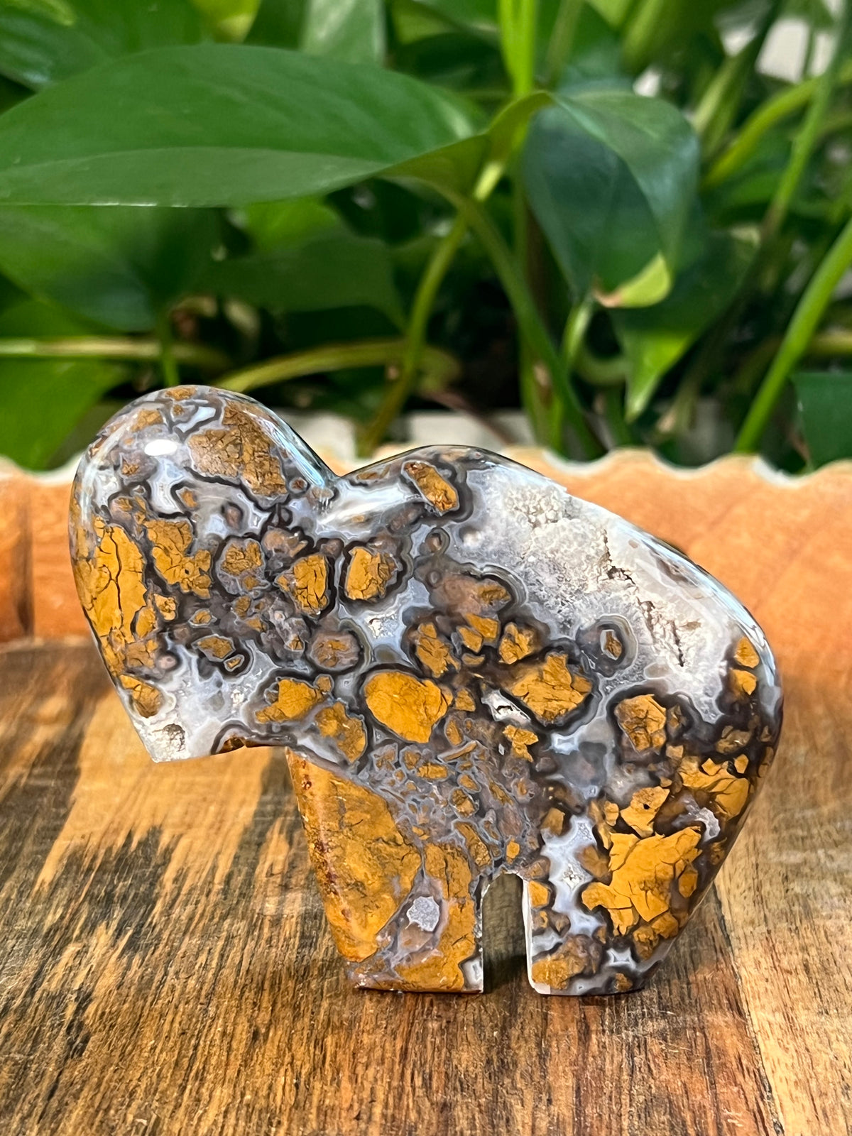 Brecciated Jasper Buffalos