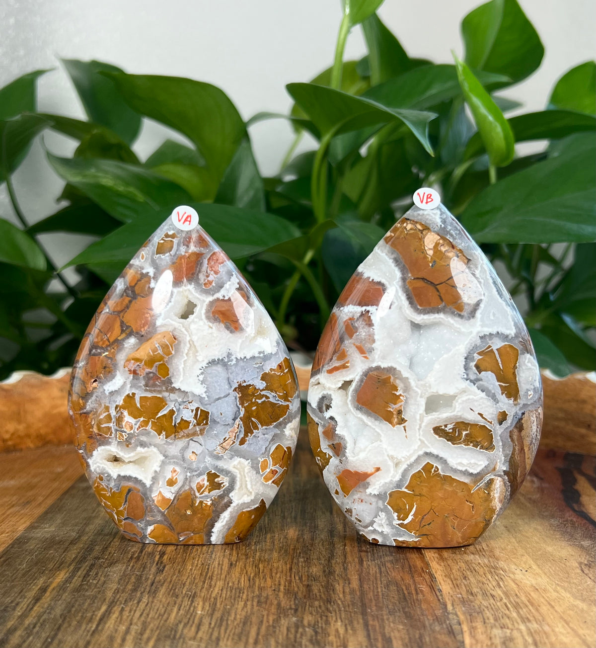 Brecciated Jasper Flames