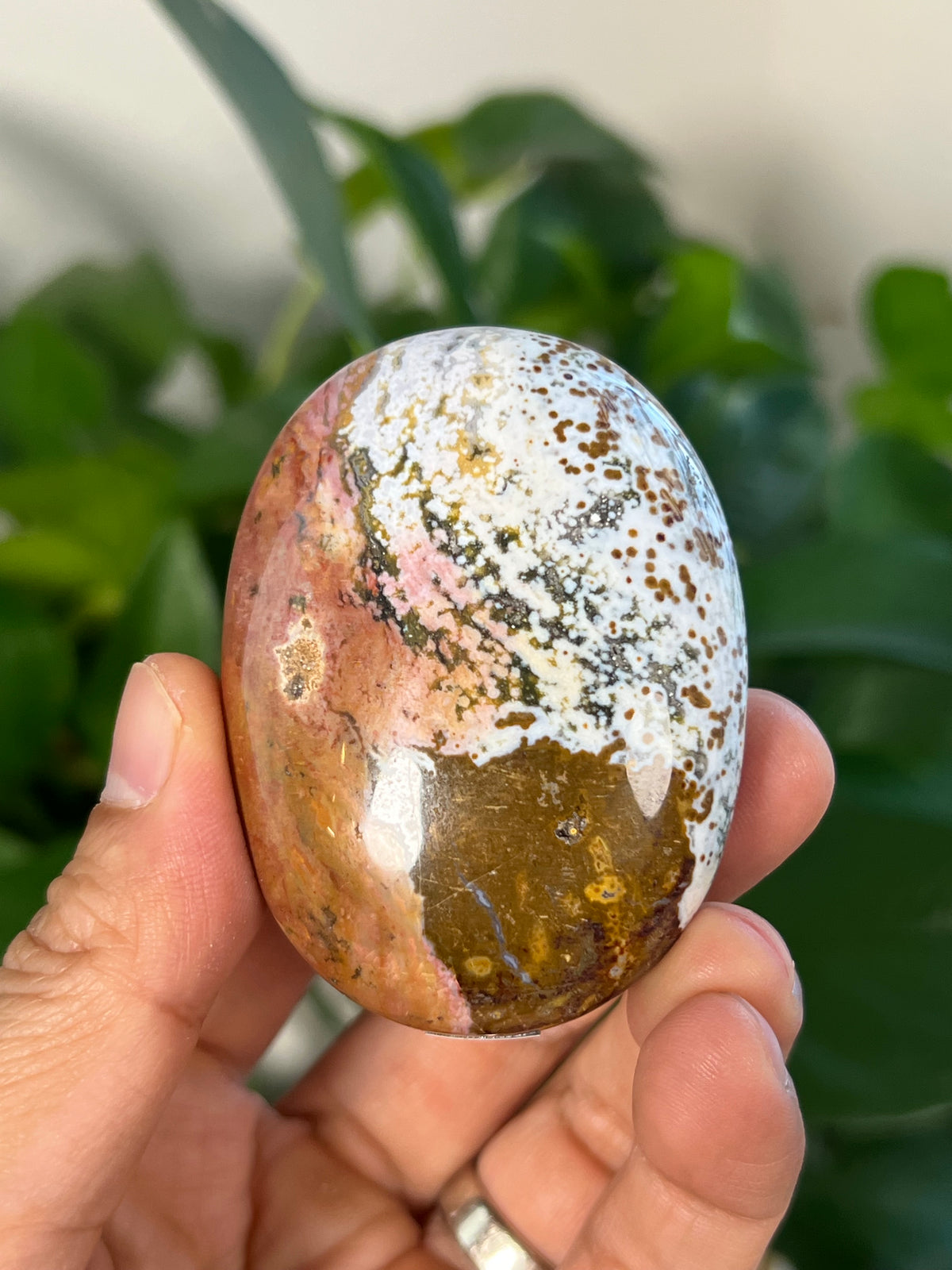 Sea Jasper Palmstone: AB