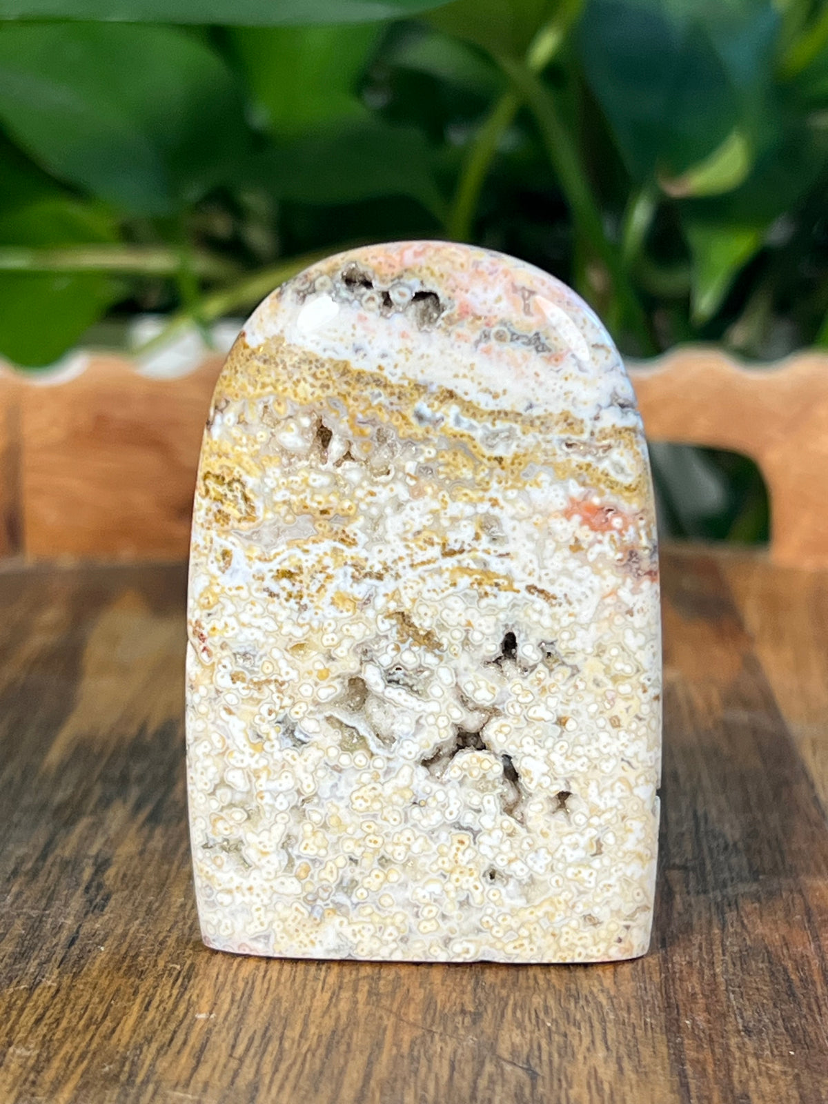 Sea Jasper Mini Freeforms