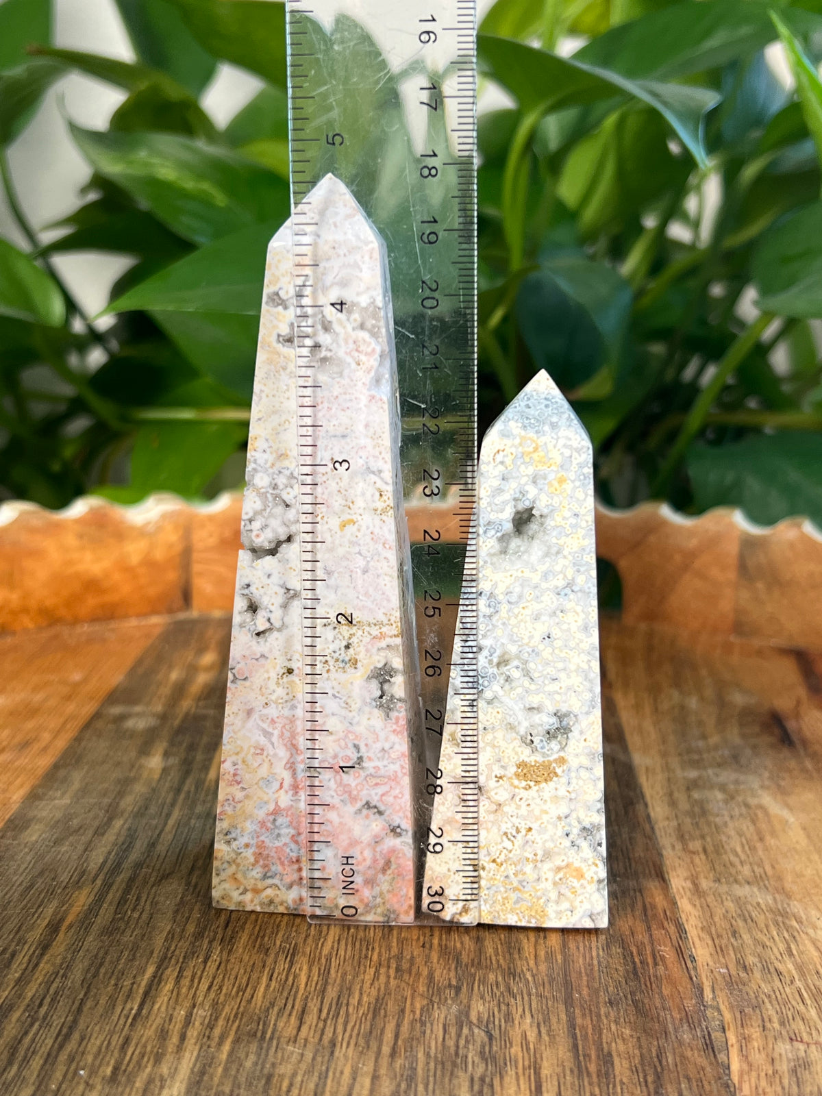 Sea Jasper Towers