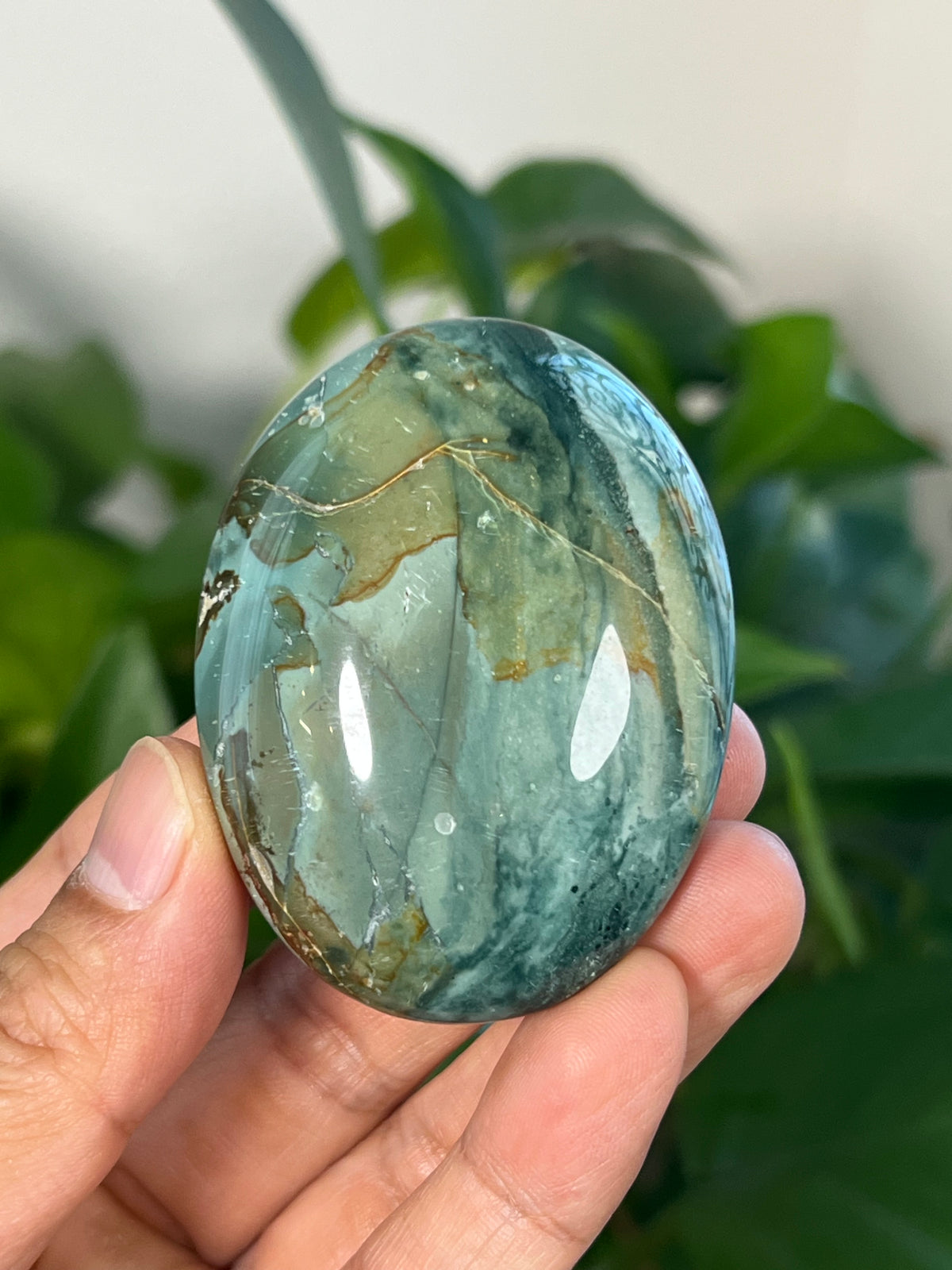 Blue Green Jasper Palmstones