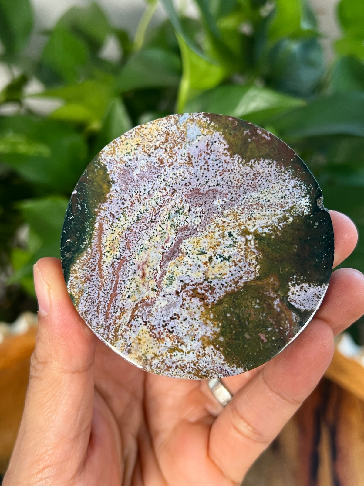 Sea Jasper Coasters