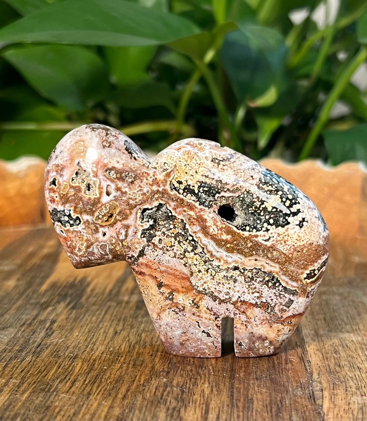 Sea Jasper Buffalo: RB