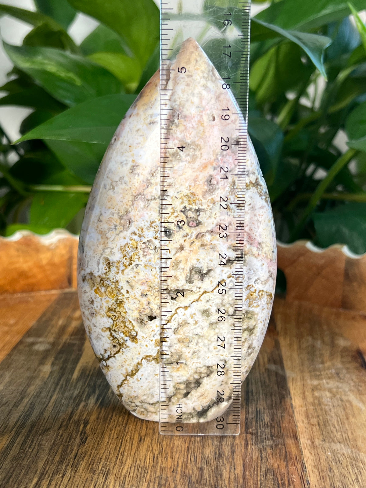Sea Jasper Flame: SB