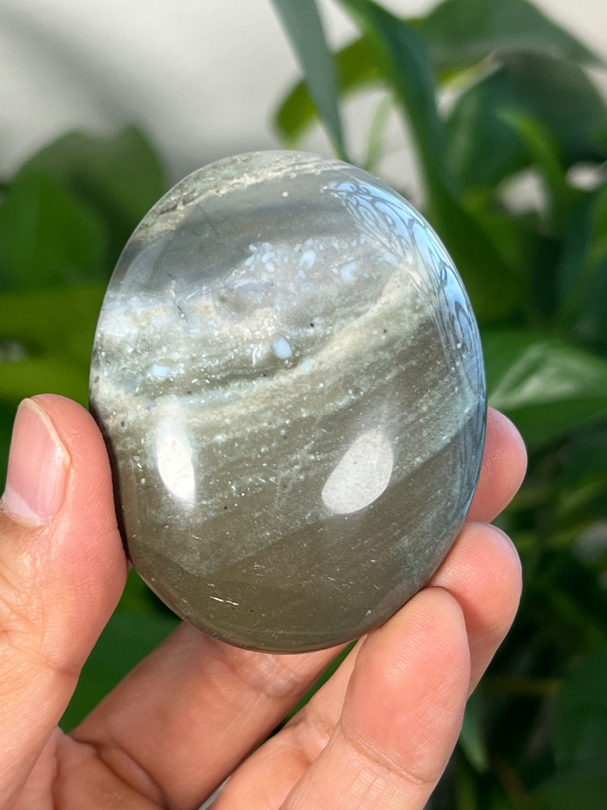 Blue Green Jasper Palmstones