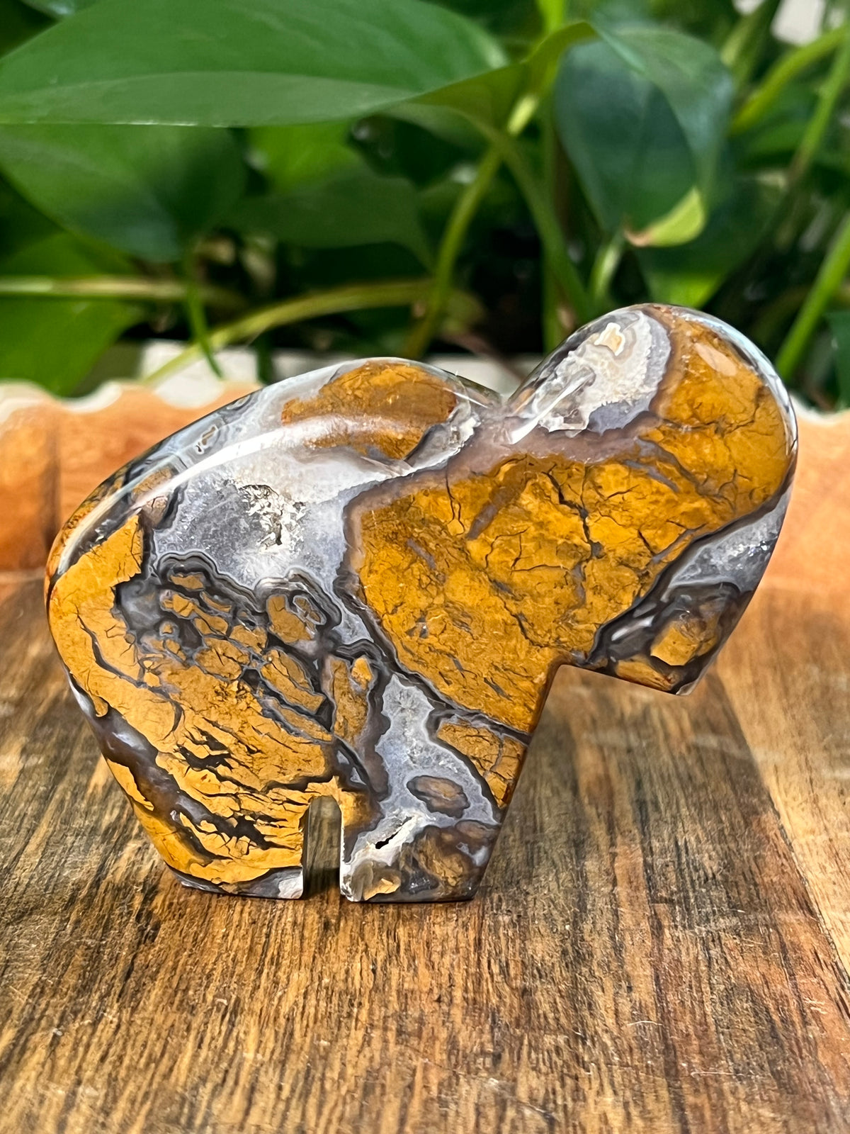Brecciated Jasper Buffalos