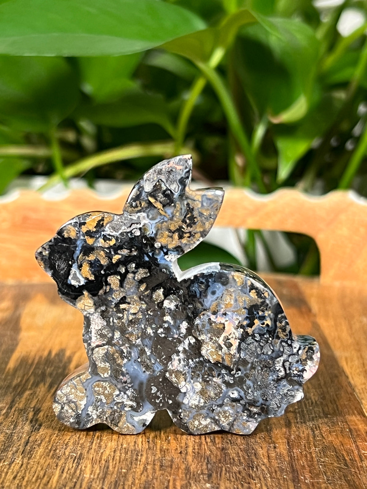 Brecciated Jasper Bunnies