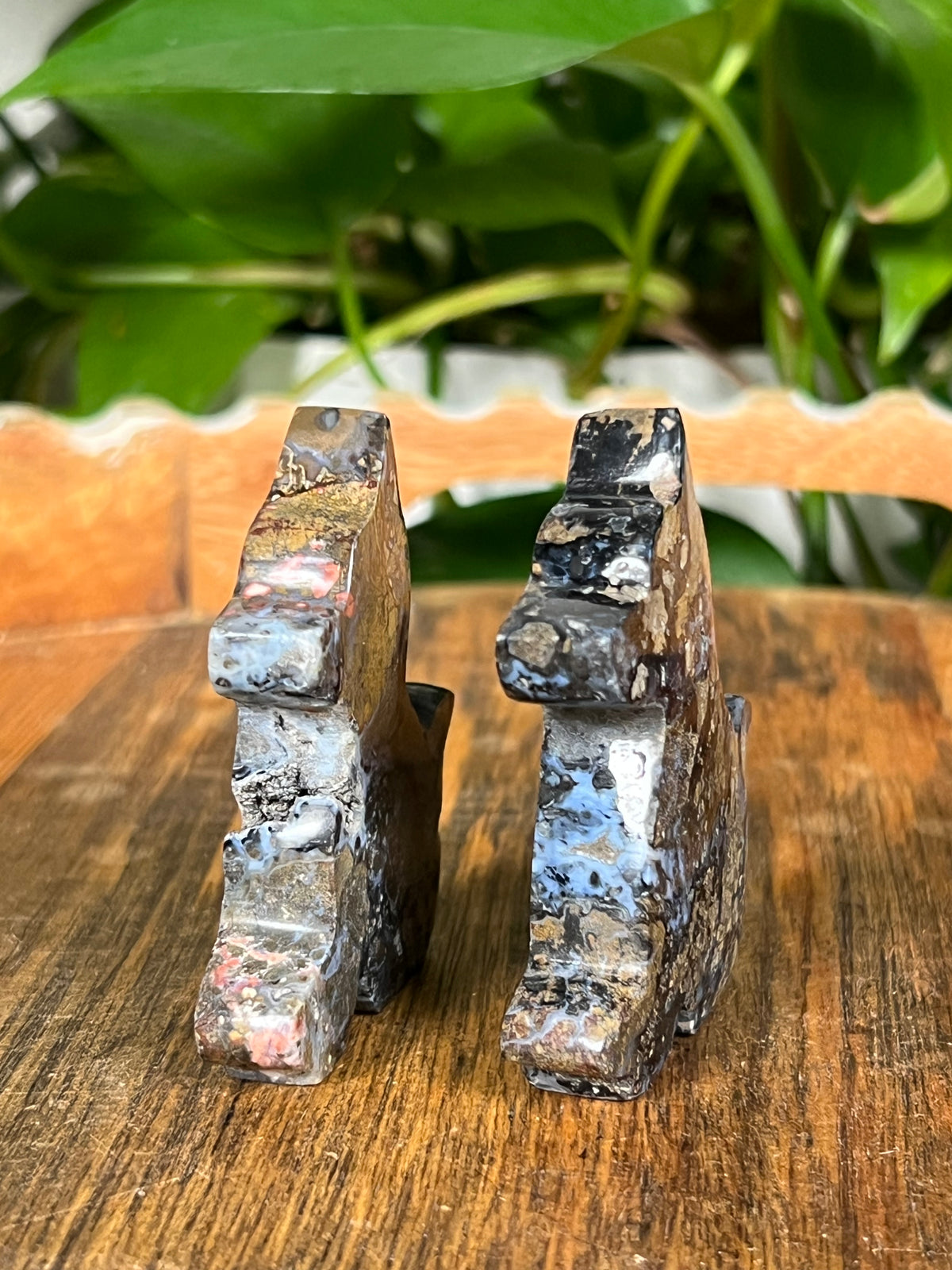 Brecciated Jasper Dogs