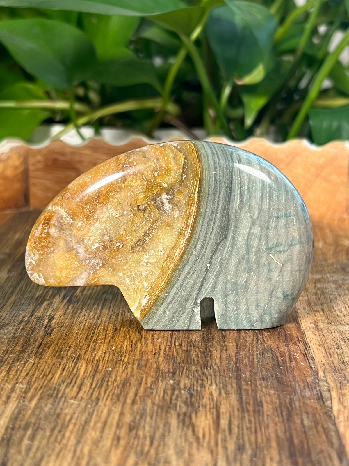 Blue Green Jasper Bears