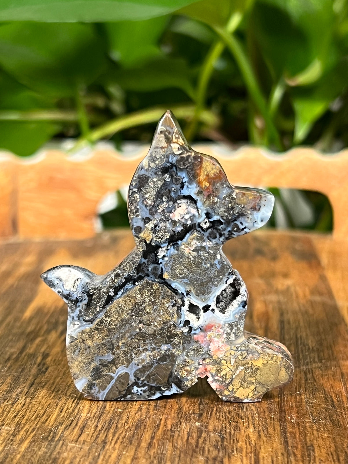 Brecciated Jasper Dogs