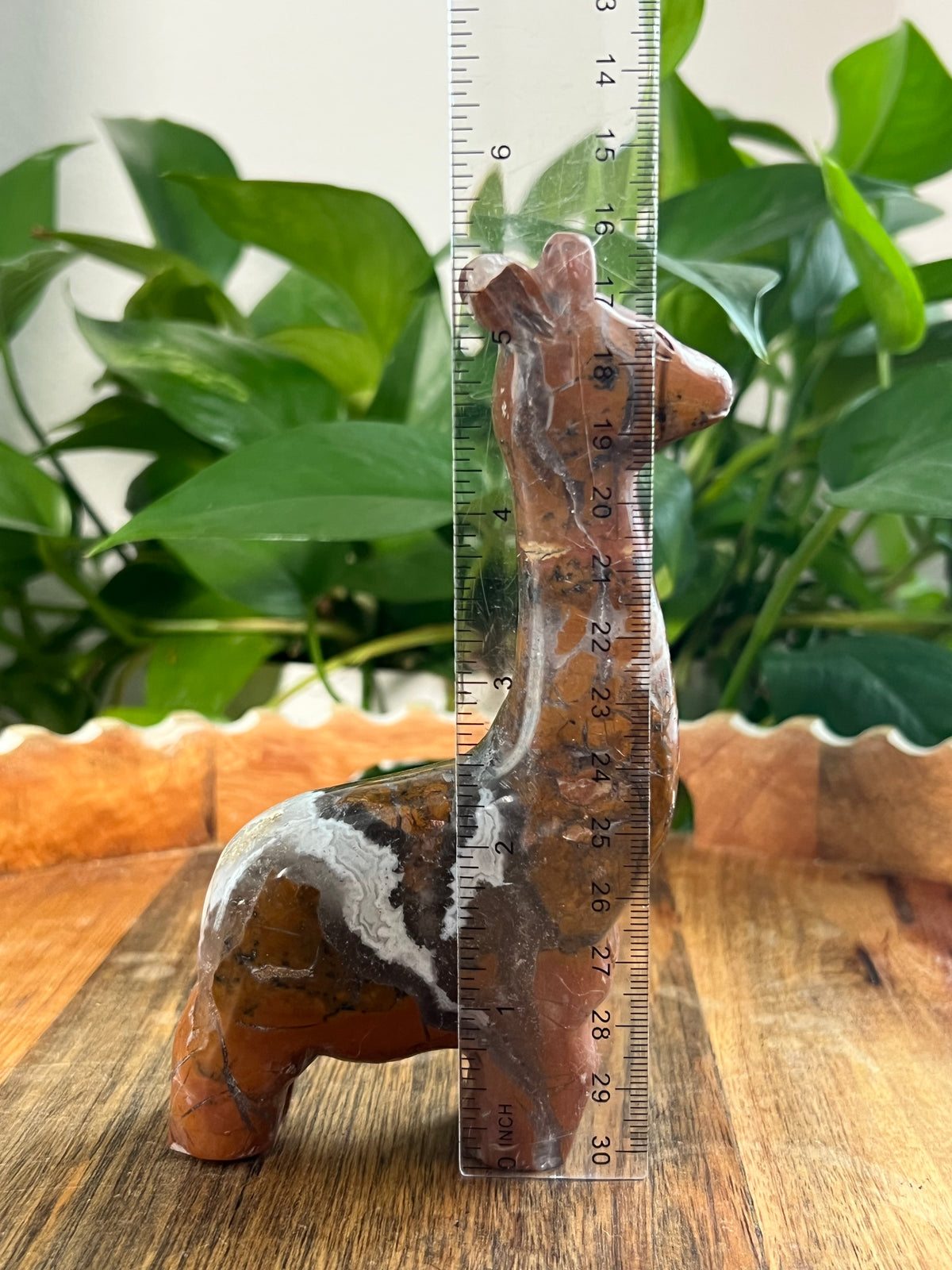 Brecciated Jasper Giraffe: AK
