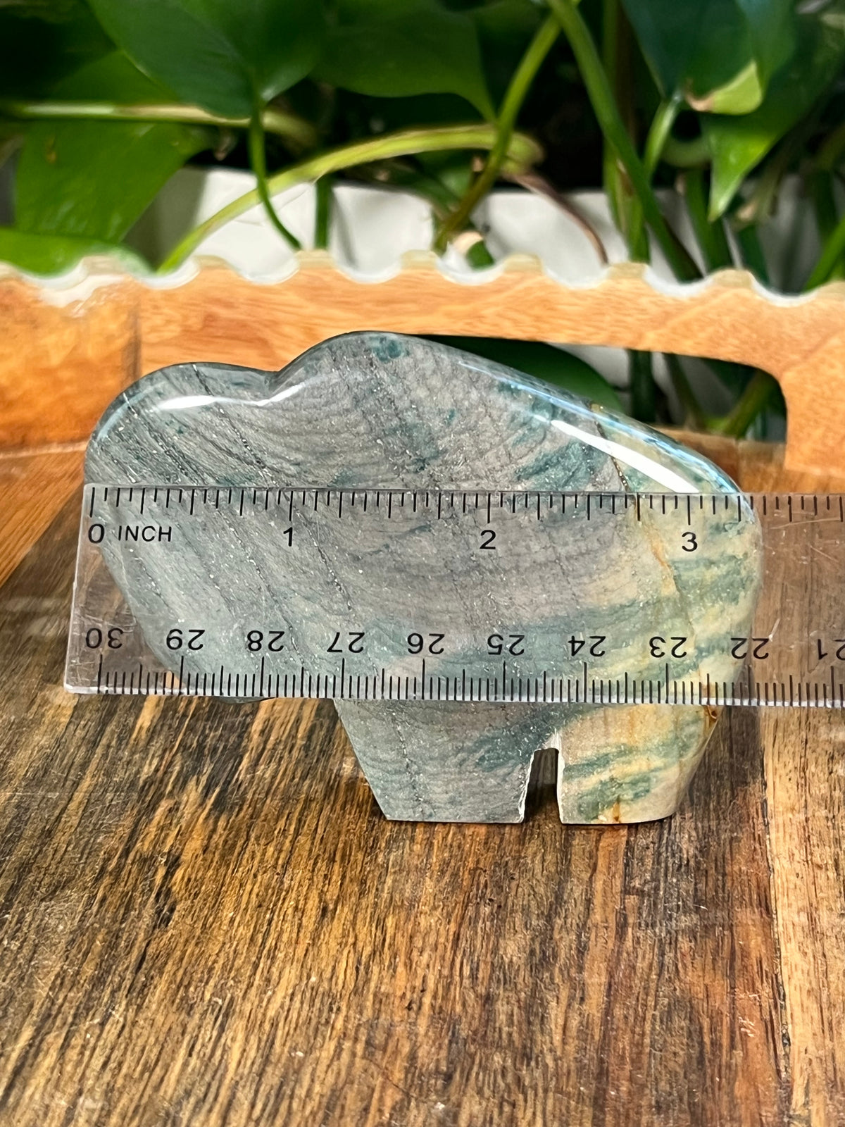 Blue Green Jasper Buffalos