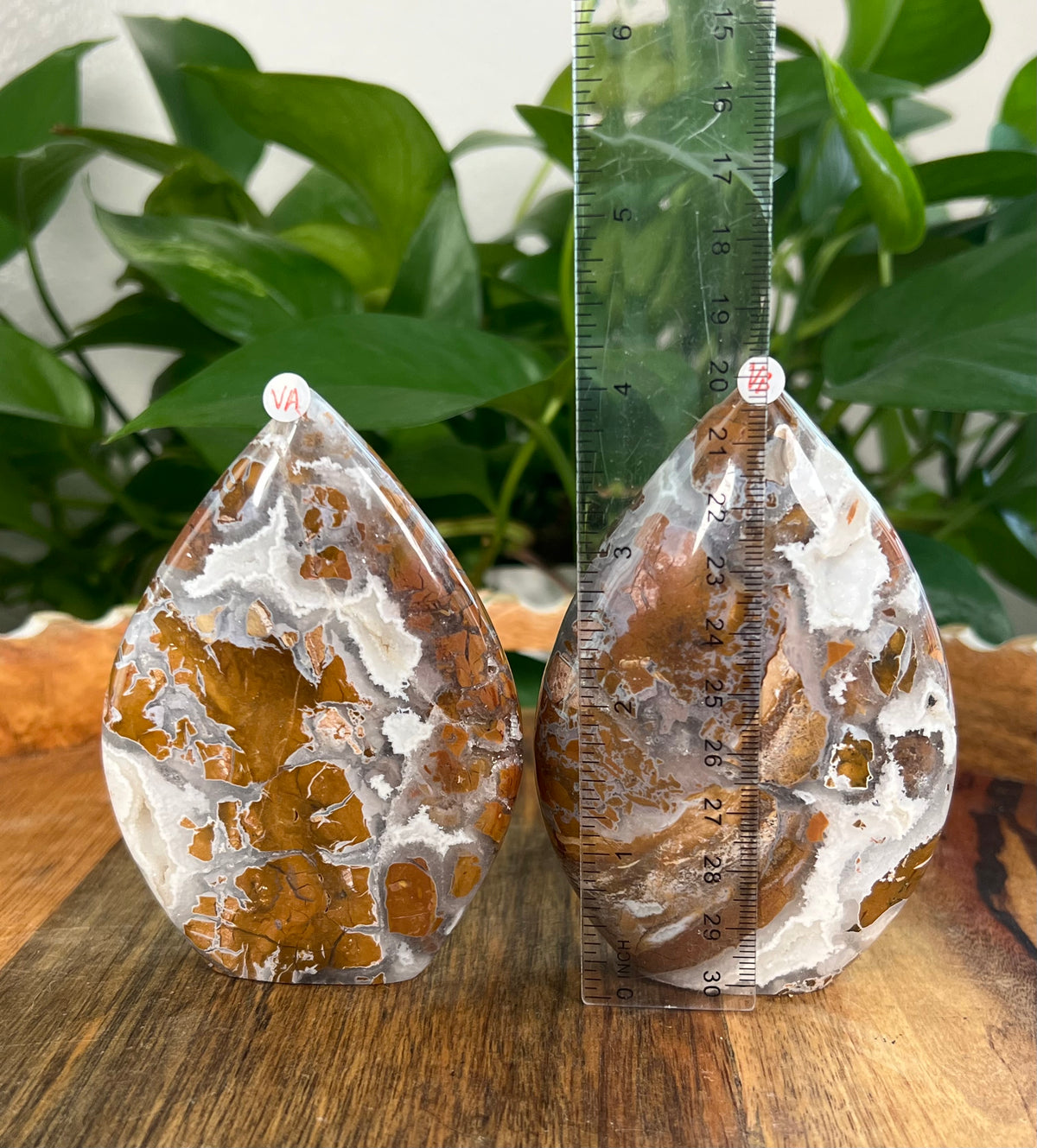 Brecciated Jasper Flames