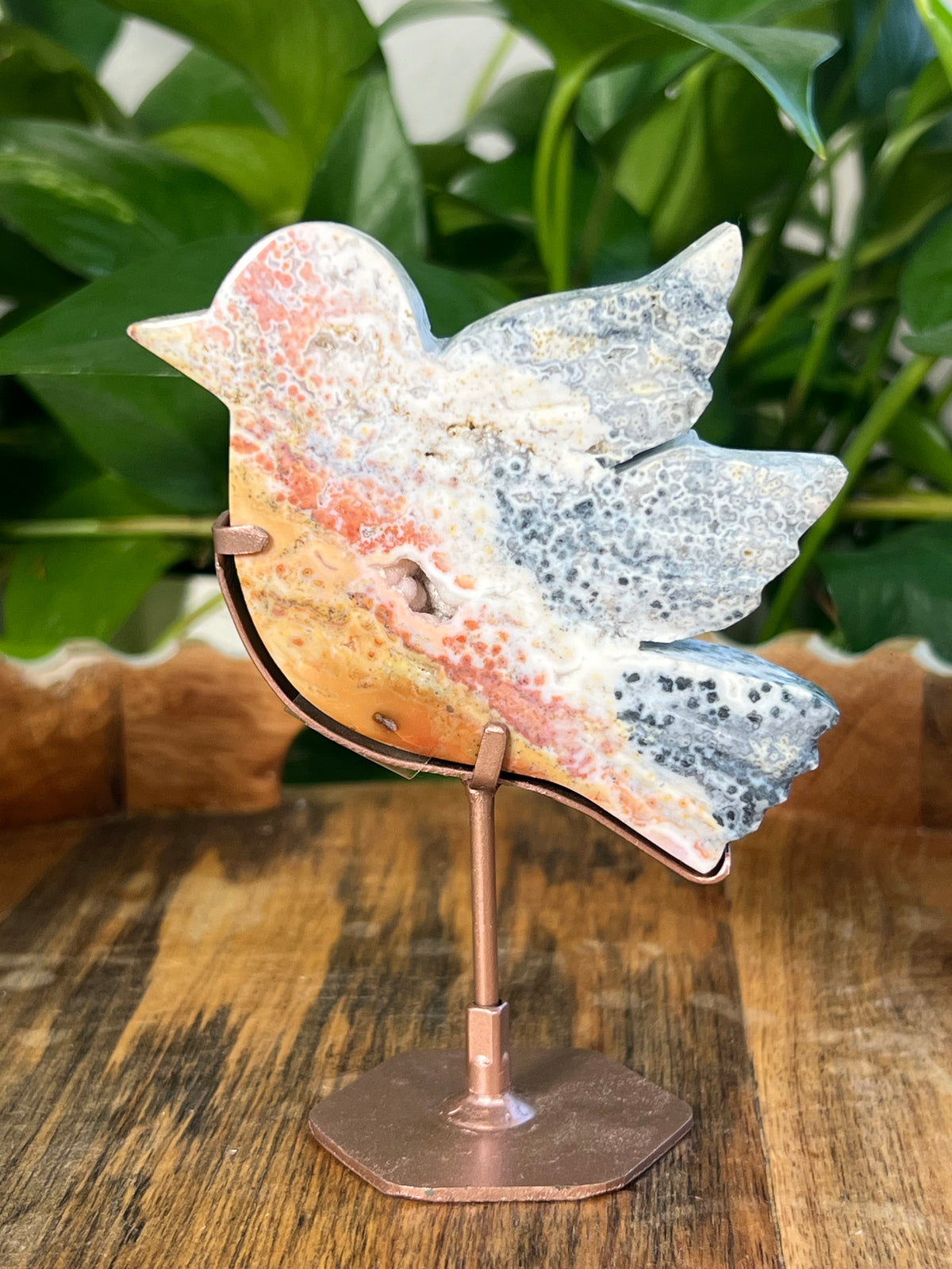 Sea Jasper Birds