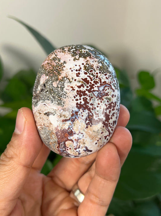 Sea Jasper Palmstone: AK