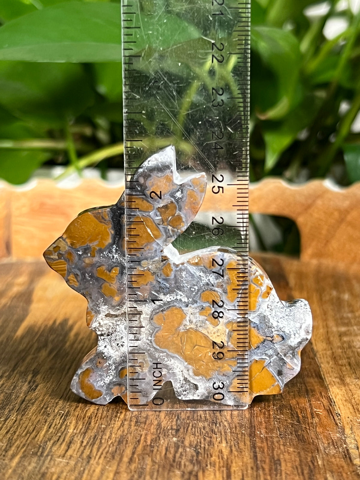 Brecciated Jasper Bunnies