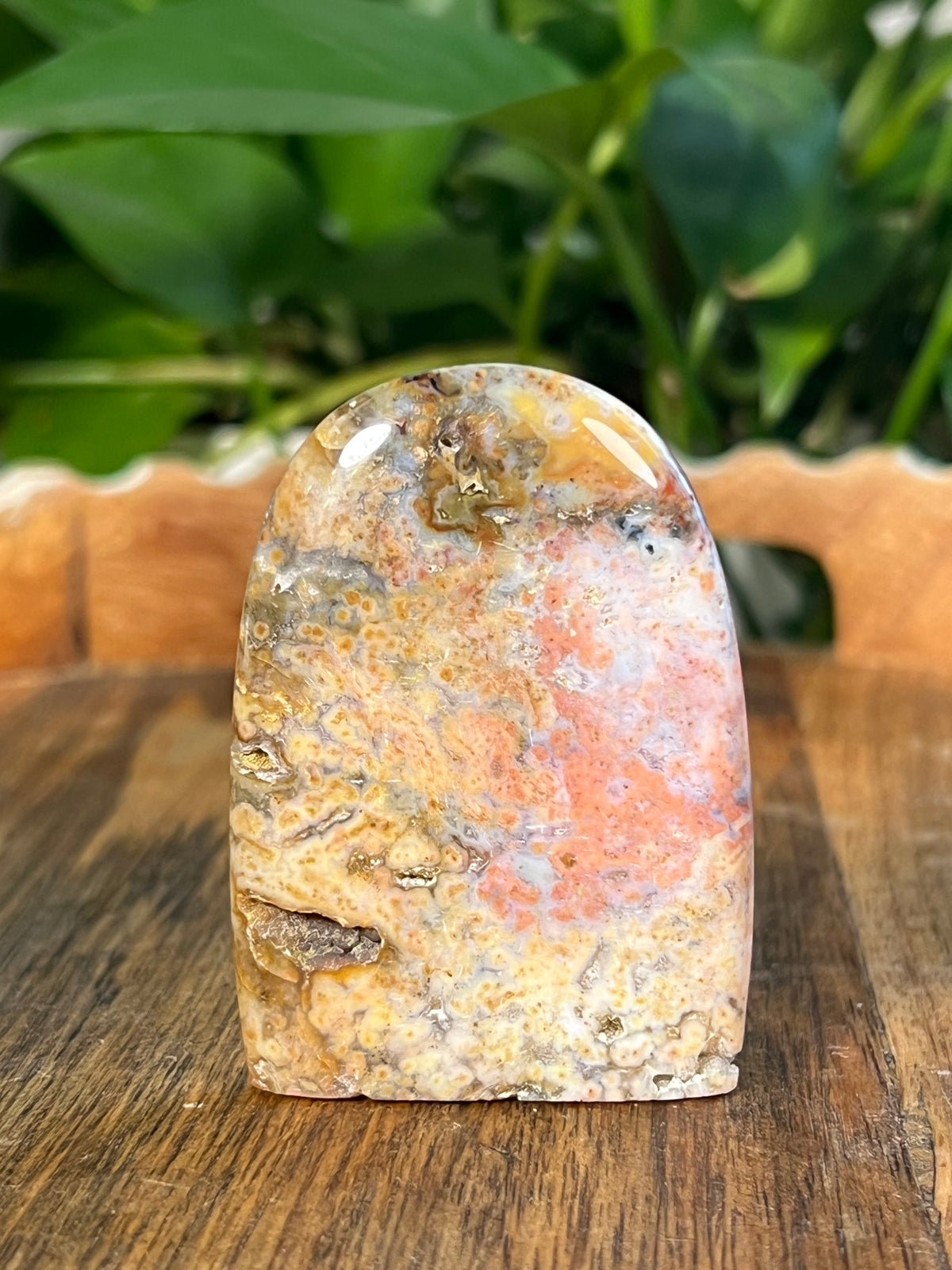 Sea Jasper Mini Freeforms