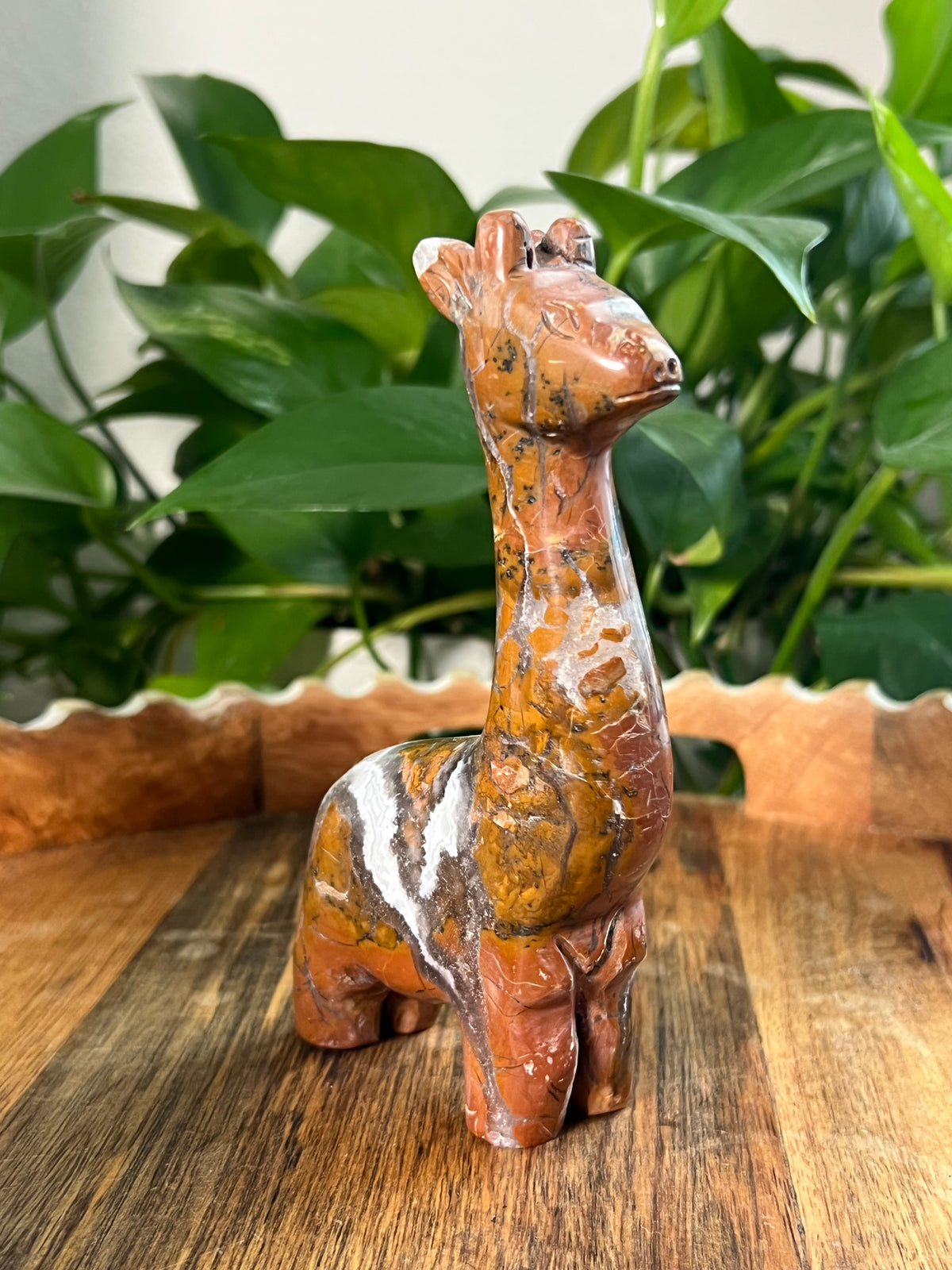Brecciated Jasper Giraffe: AK