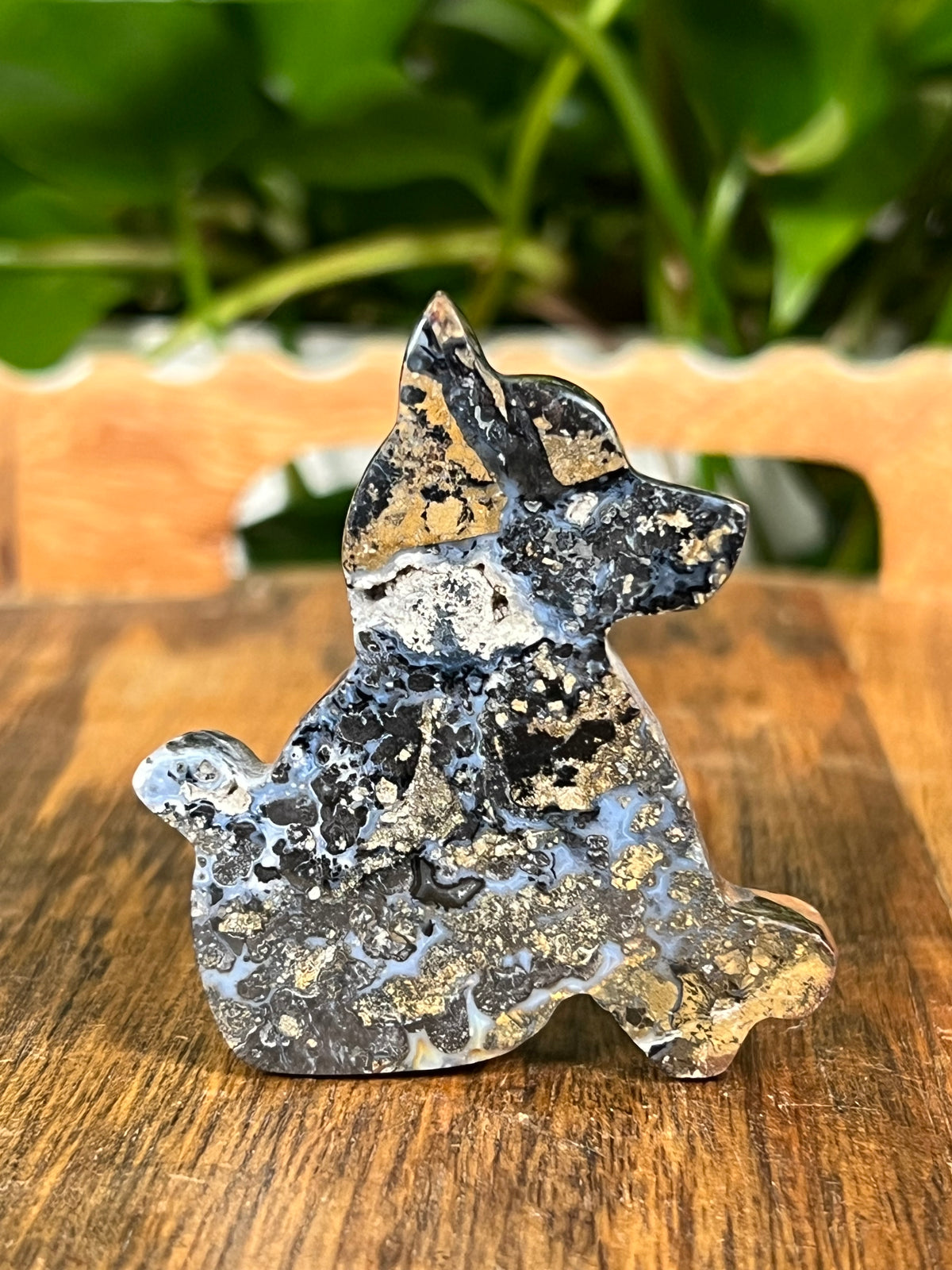 Brecciated Jasper Dogs