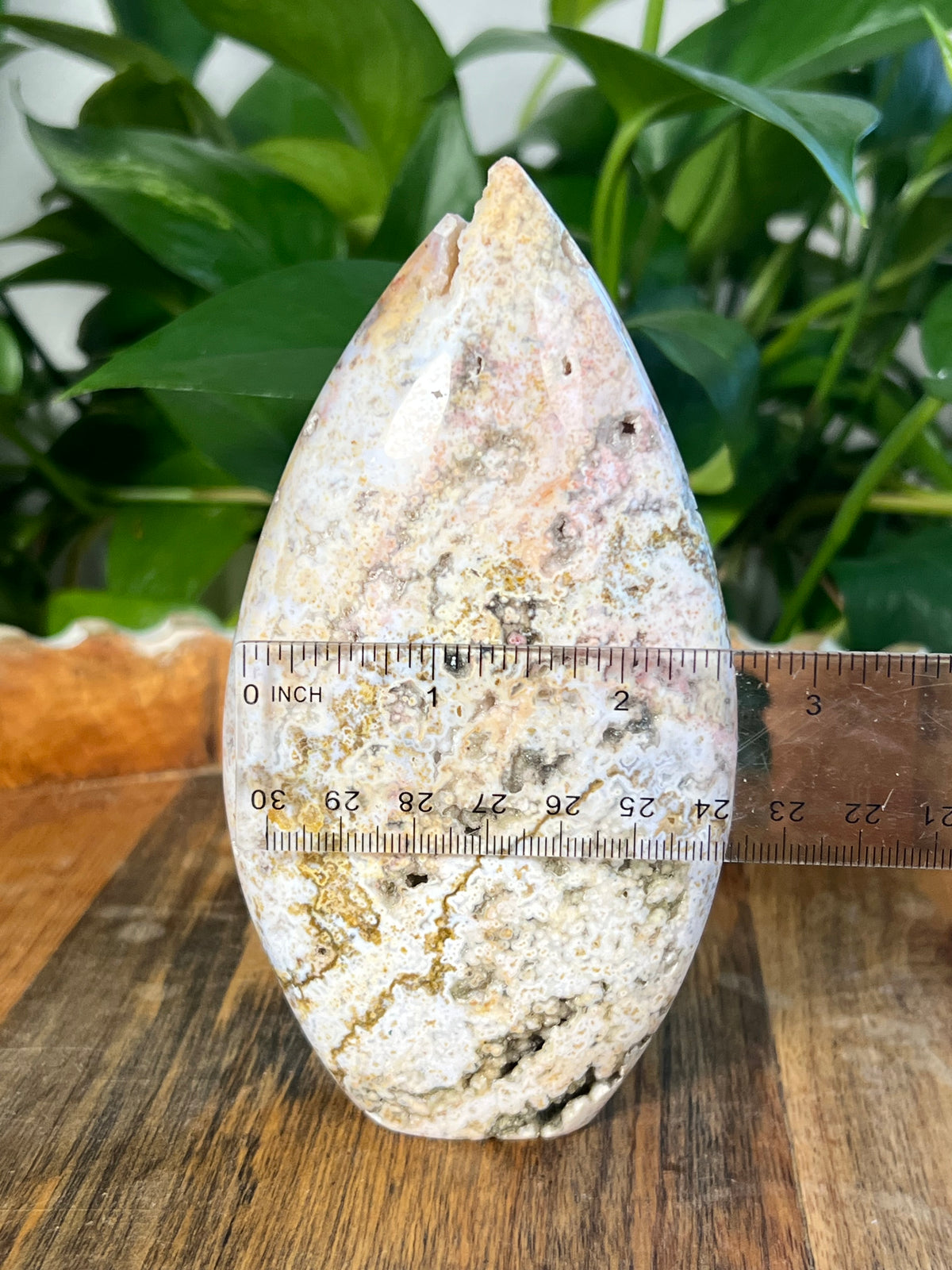 Sea Jasper Flame: SB