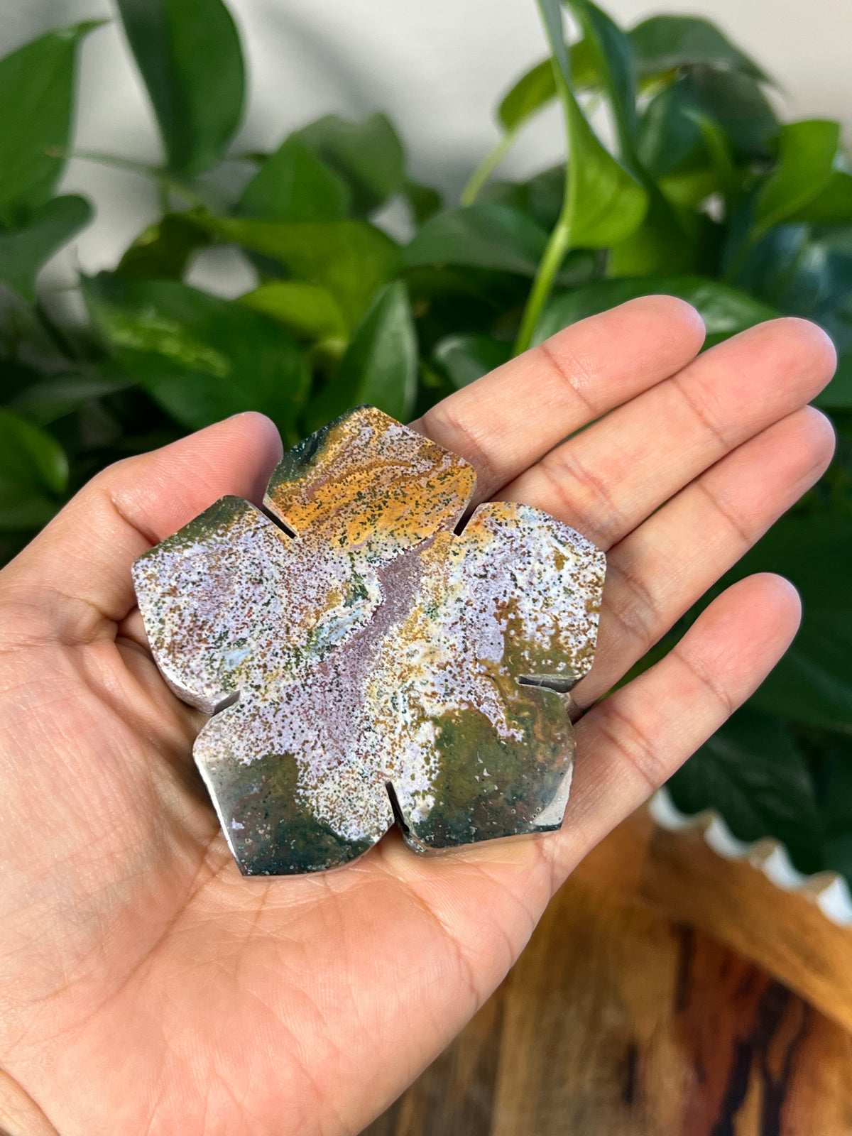 Sea Jasper Flower: RS