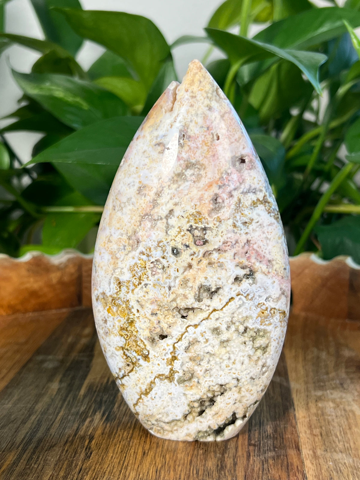 Sea Jasper Flame: SB