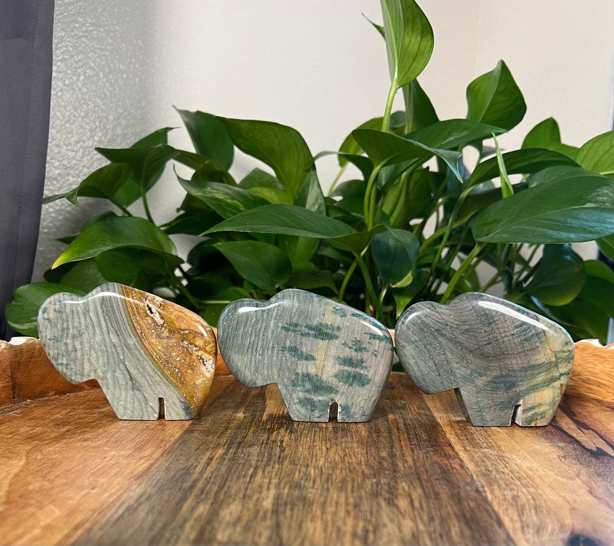 Blue Green Jasper Buffalos
