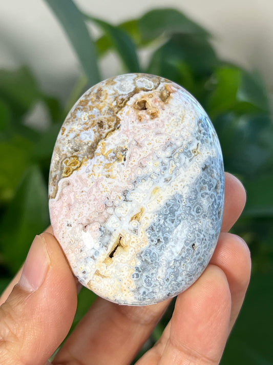 Sea Jasper Palmstone: Ai