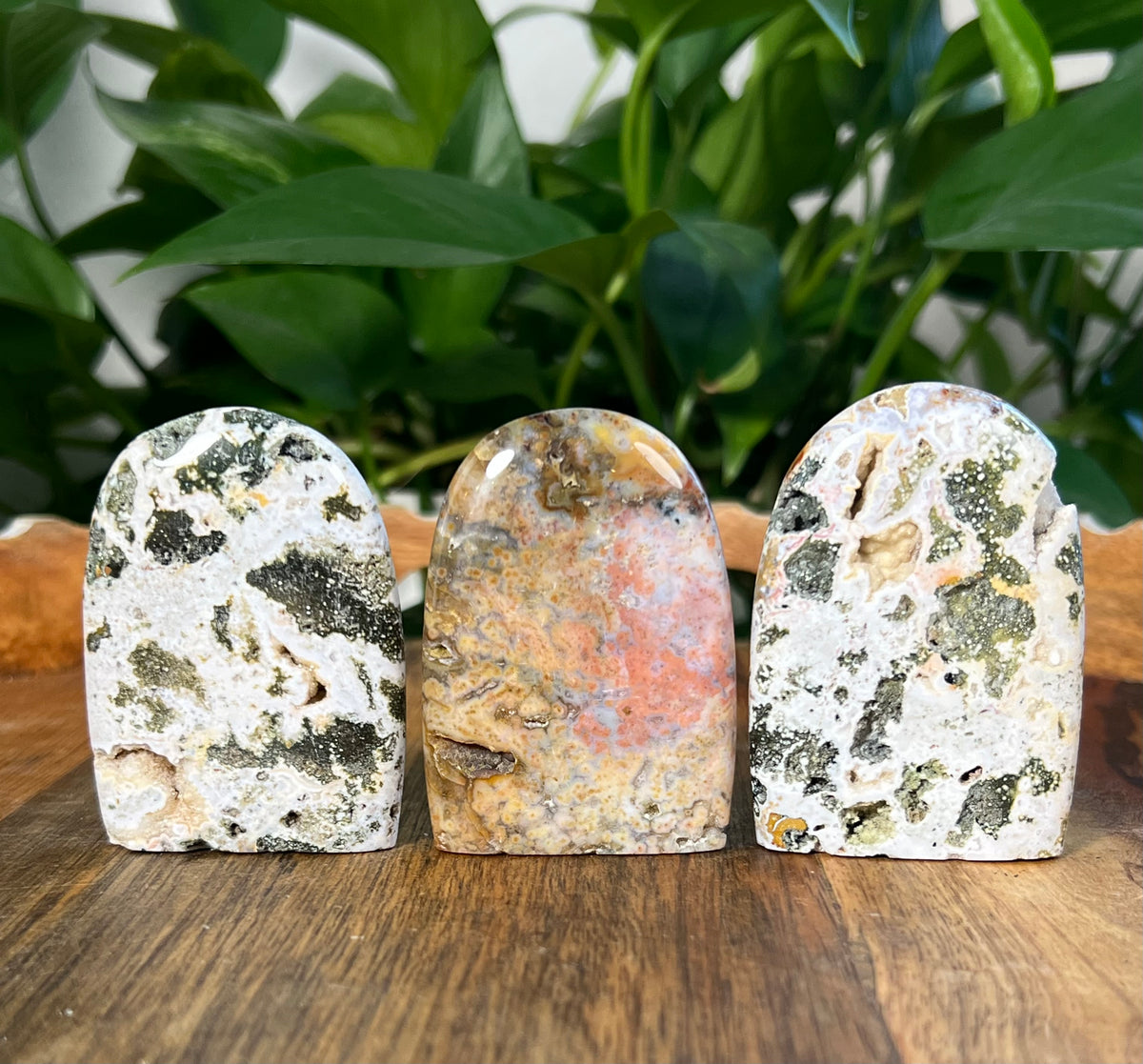 Sea Jasper Mini Freeforms