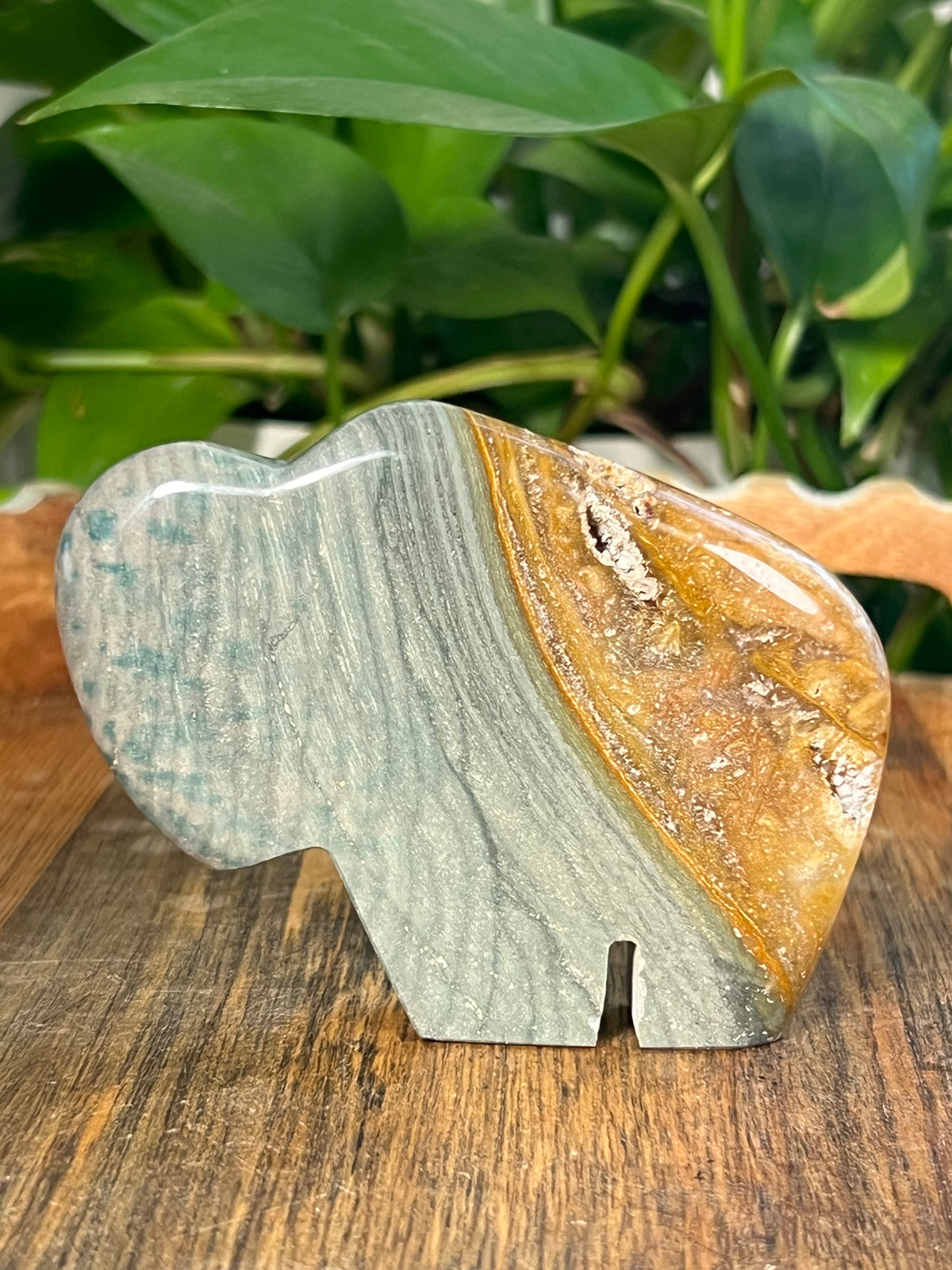 Blue Green Jasper Buffalos