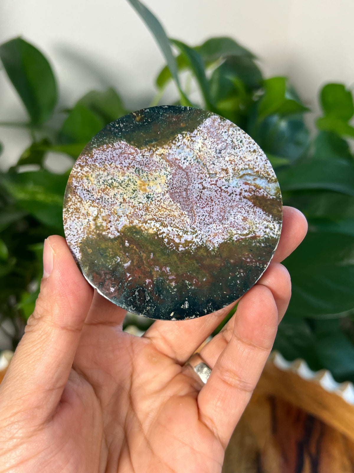 Sea Jasper Coasters
