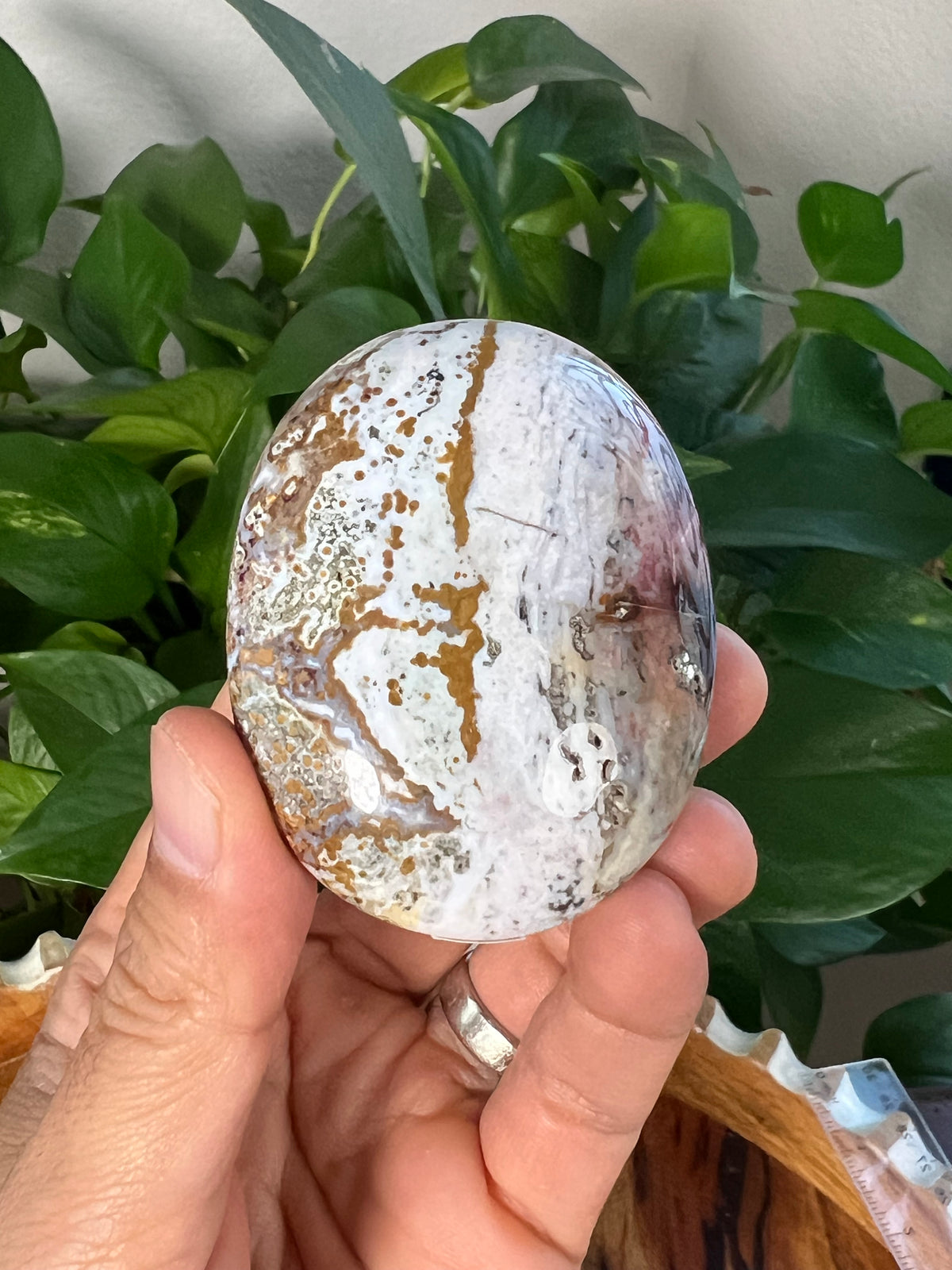 Sea Jasper Palmstone: AF
