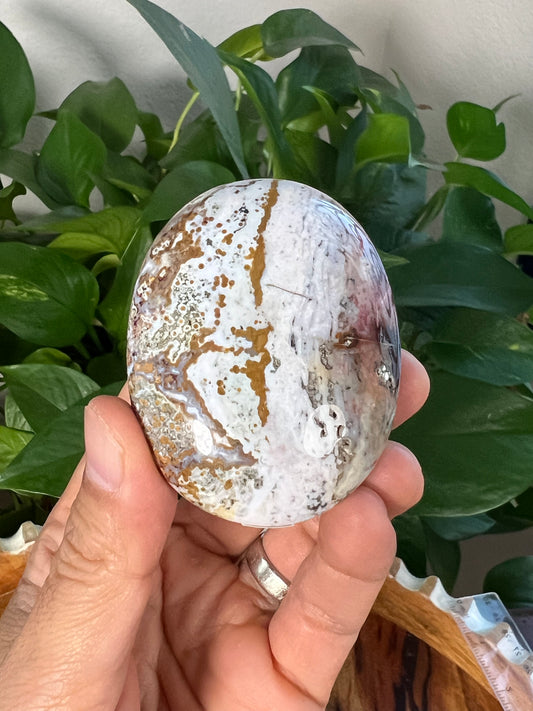 Sea Jasper Palmstone: AF
