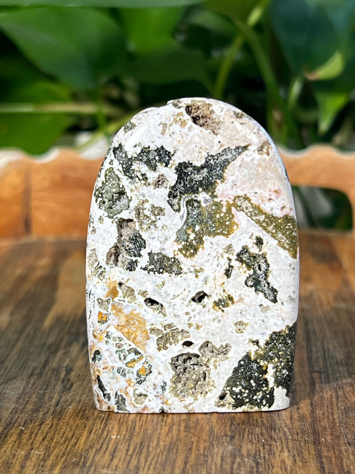 Sea Jasper Mini Freeforms